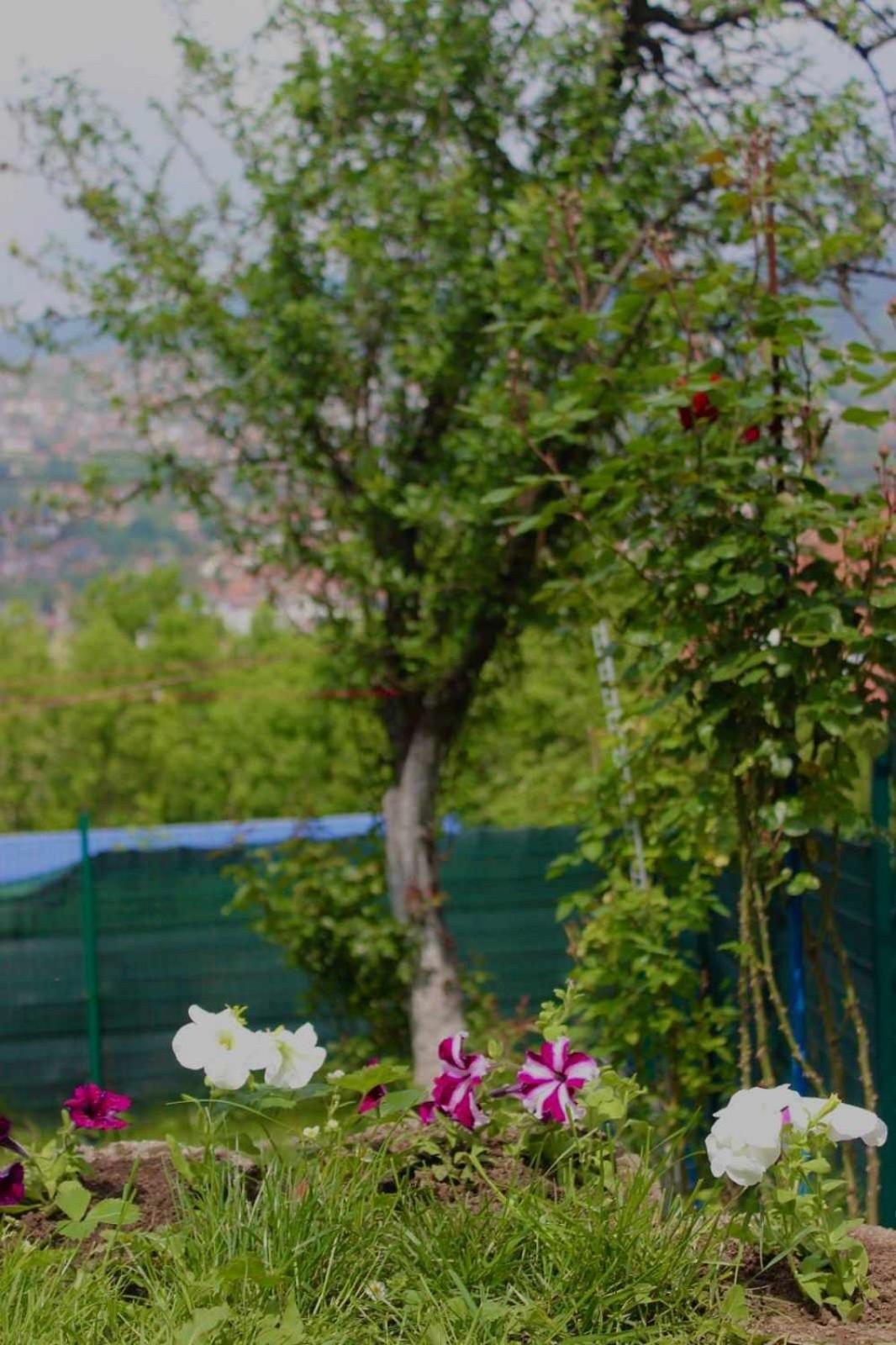 Vista Sarajevo