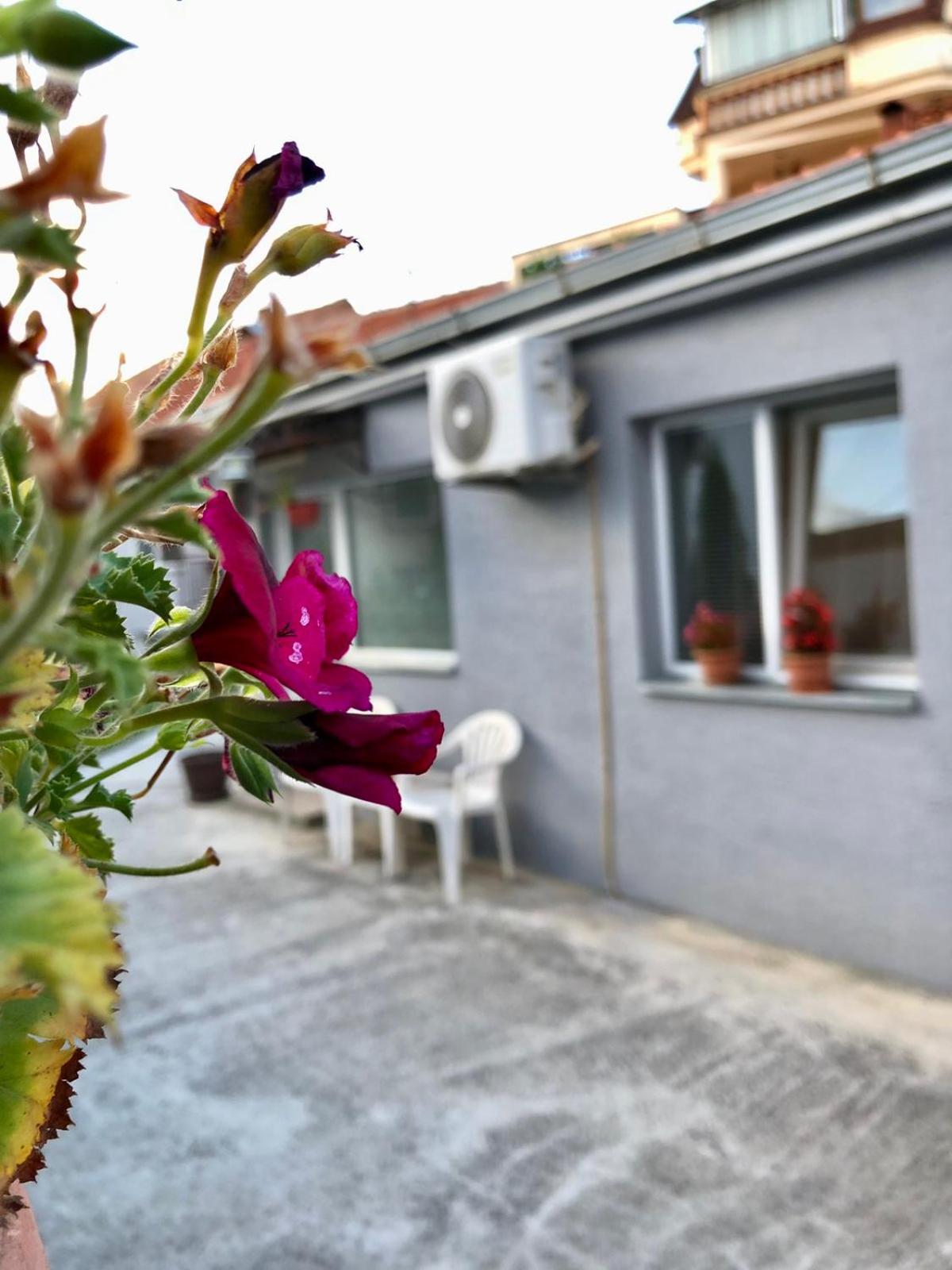 Apartman Veleski