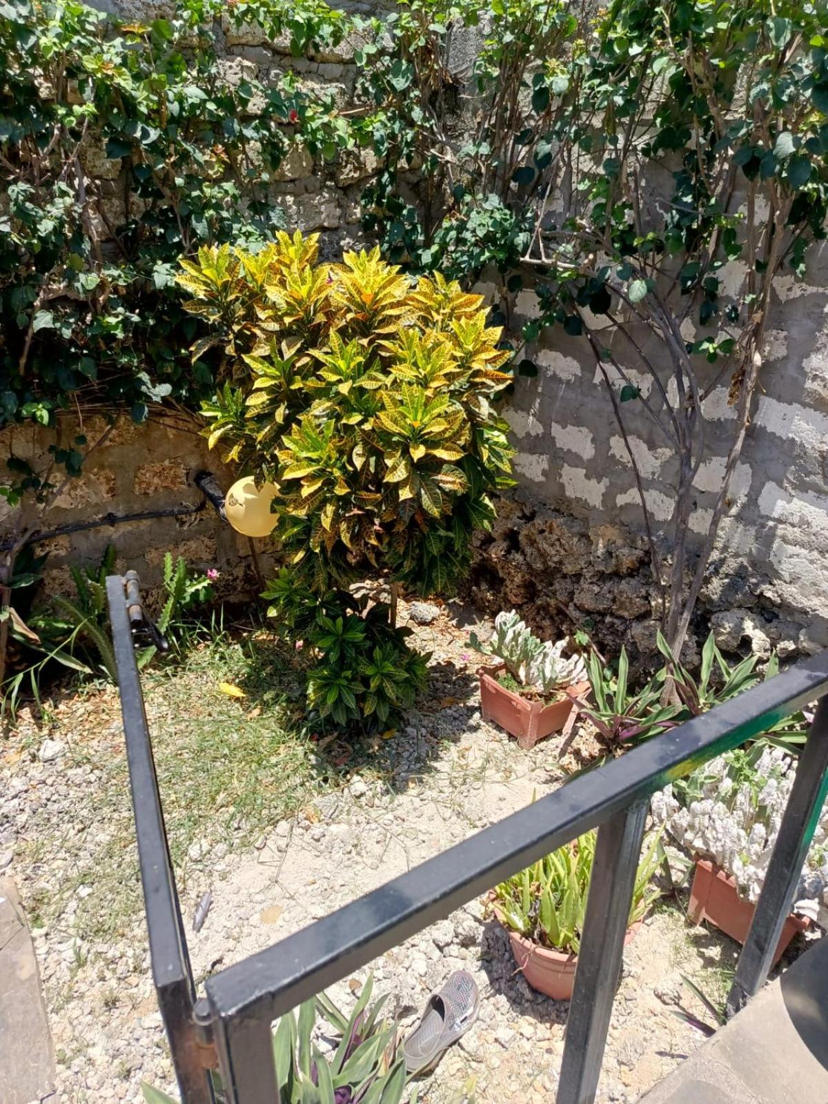 Twigs place view 3