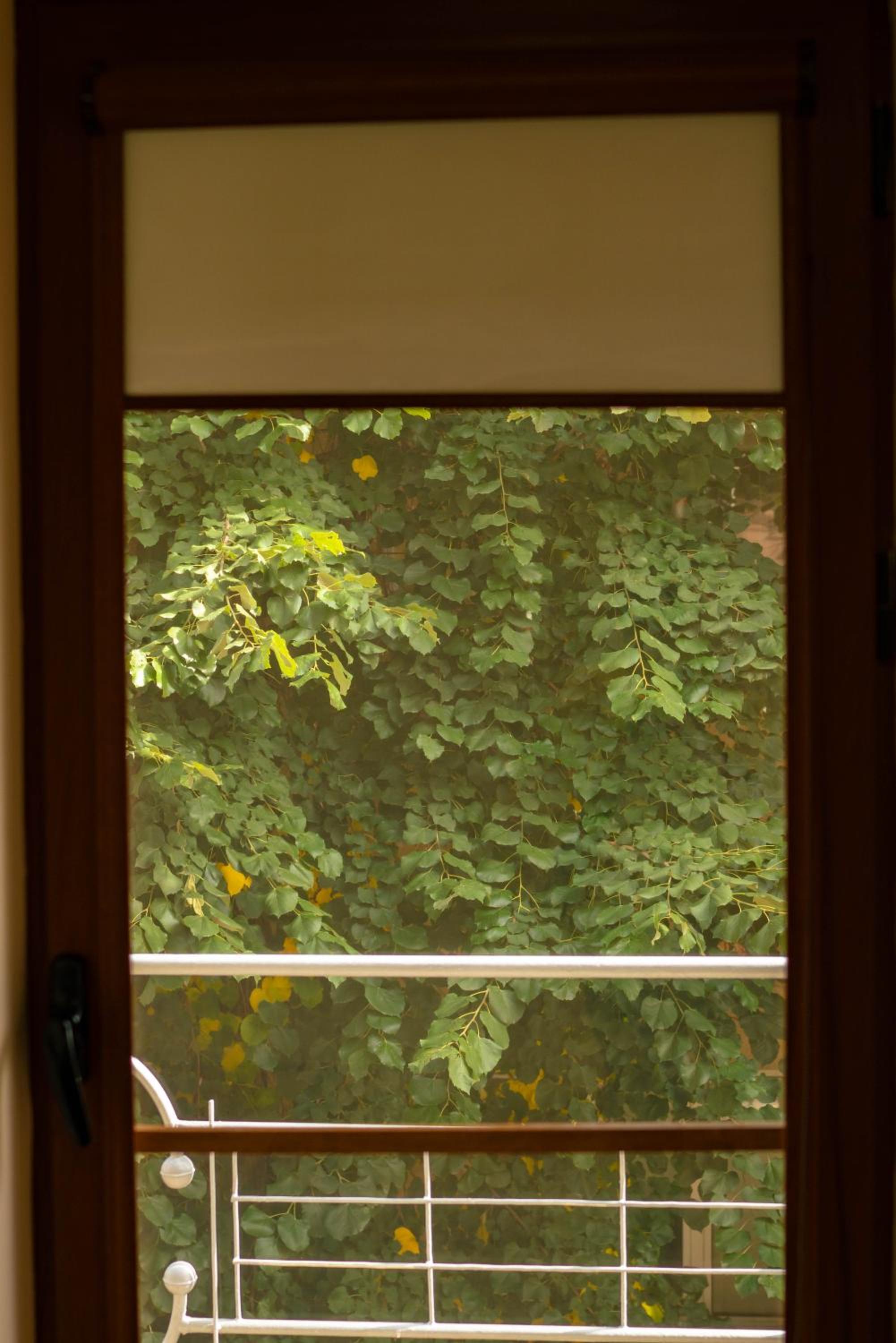 2-Bedroom Flat - Sunny Balcony