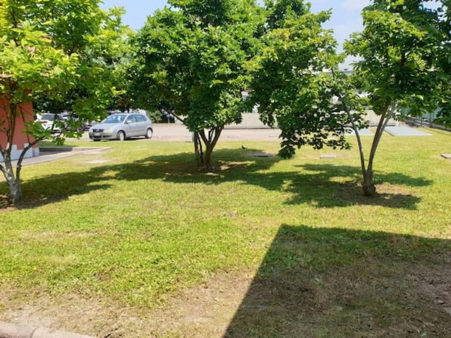 Garden flat in Navigli zone