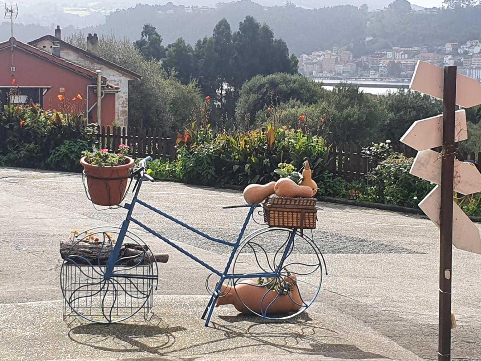 Complejo Rural Las Mimosas del Nalon