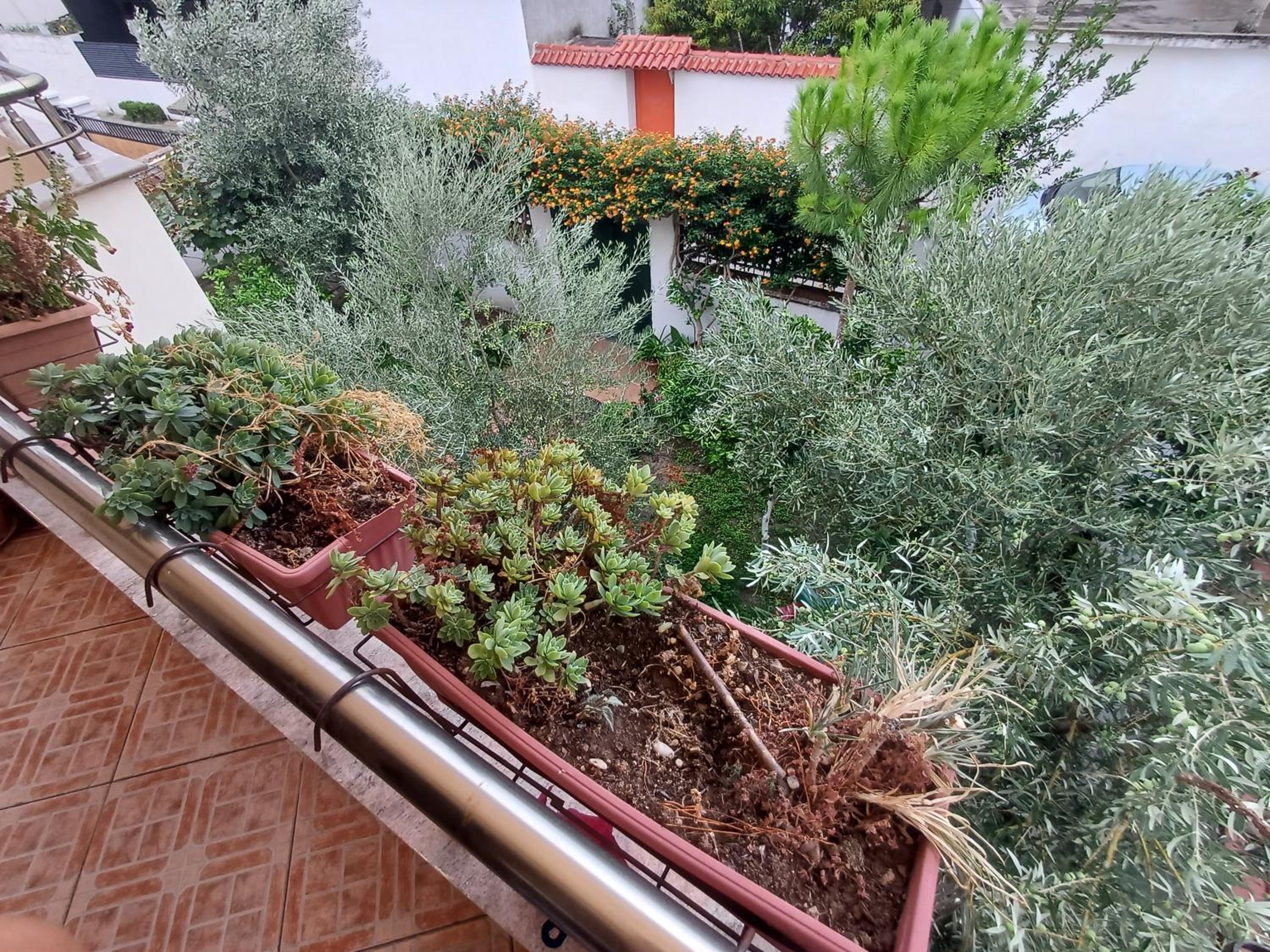Apartment Ademaj