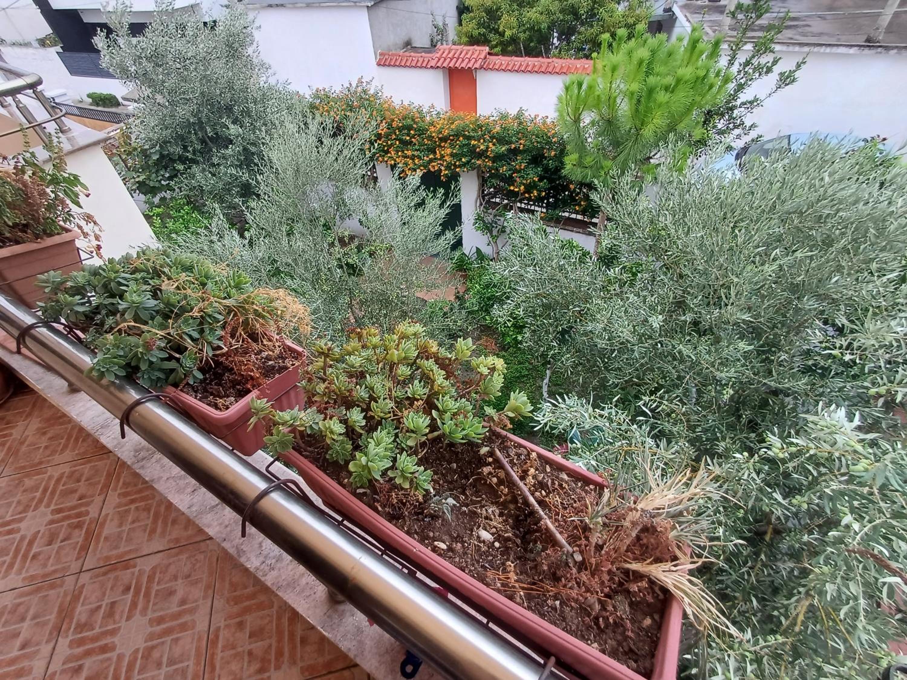Apartment Ademaj