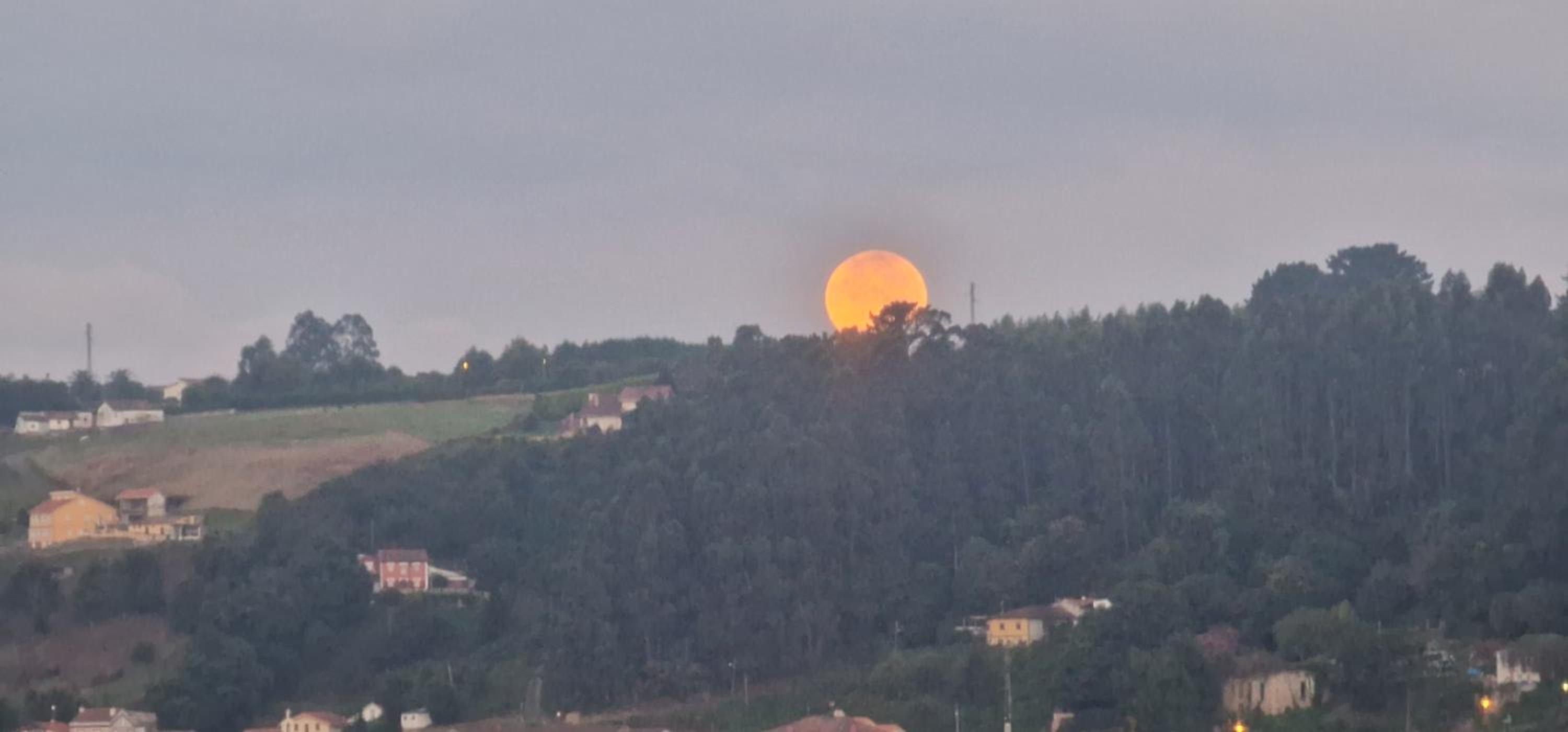 Complejo Rural Las Mimosas del Nalon