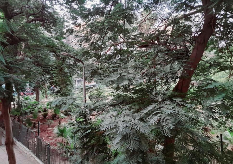 Maison De Ville, Garden View