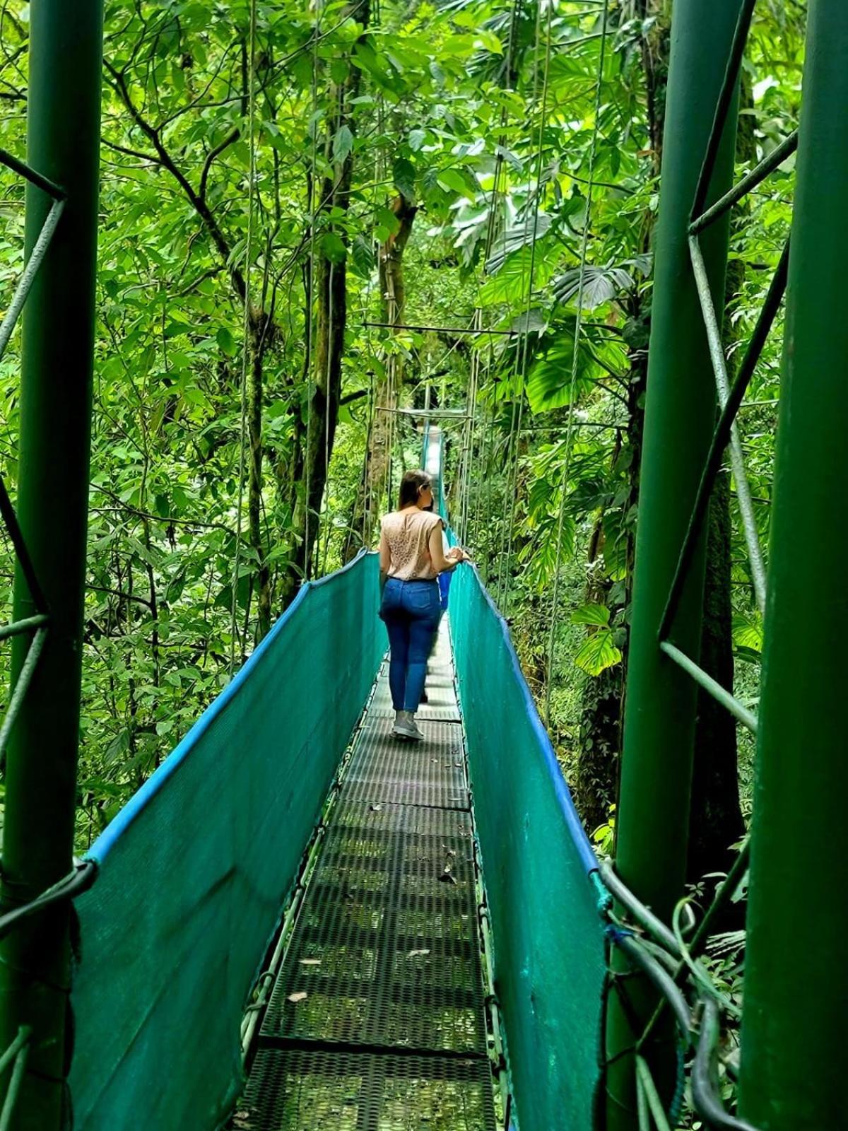 Hotel y Puentes Colgantes Heliconias Rainforest Lodge