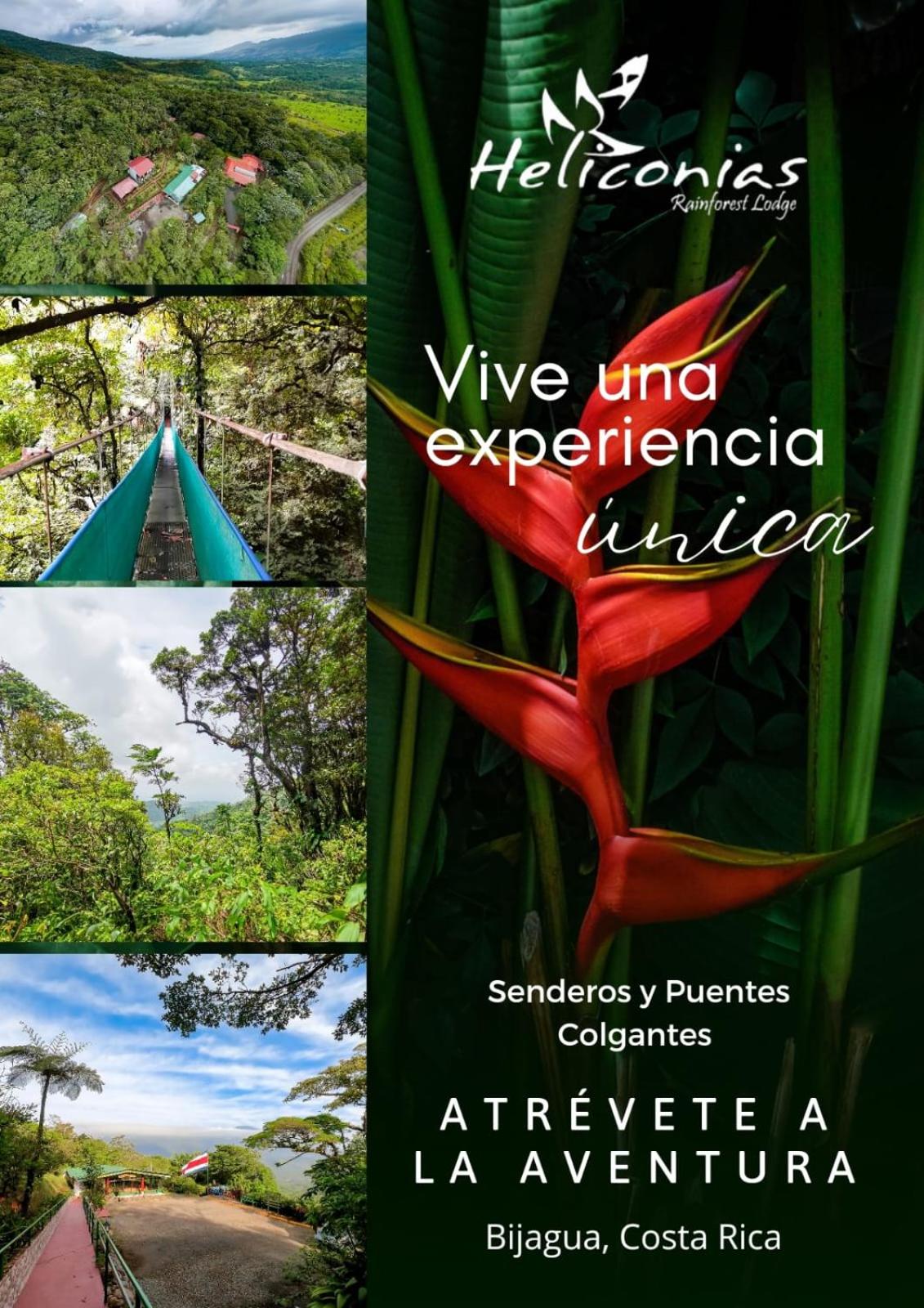 Hotel y Puentes Colgantes Heliconias Rainforest Lodge