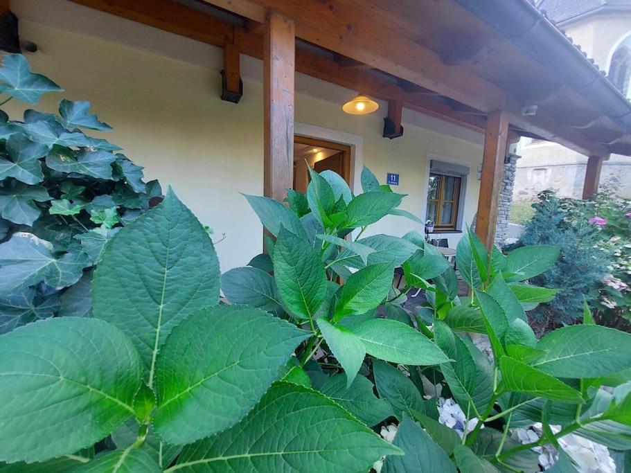 Ferienwohnung Gmeineckblick