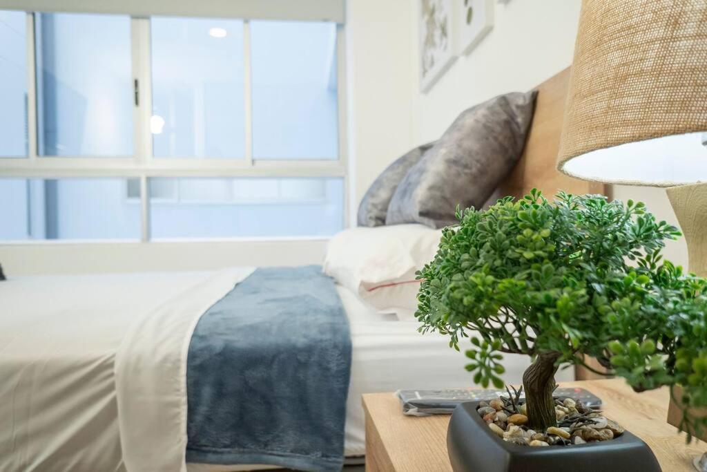 PPN 201 Lindo apartamento con excelente ubicación