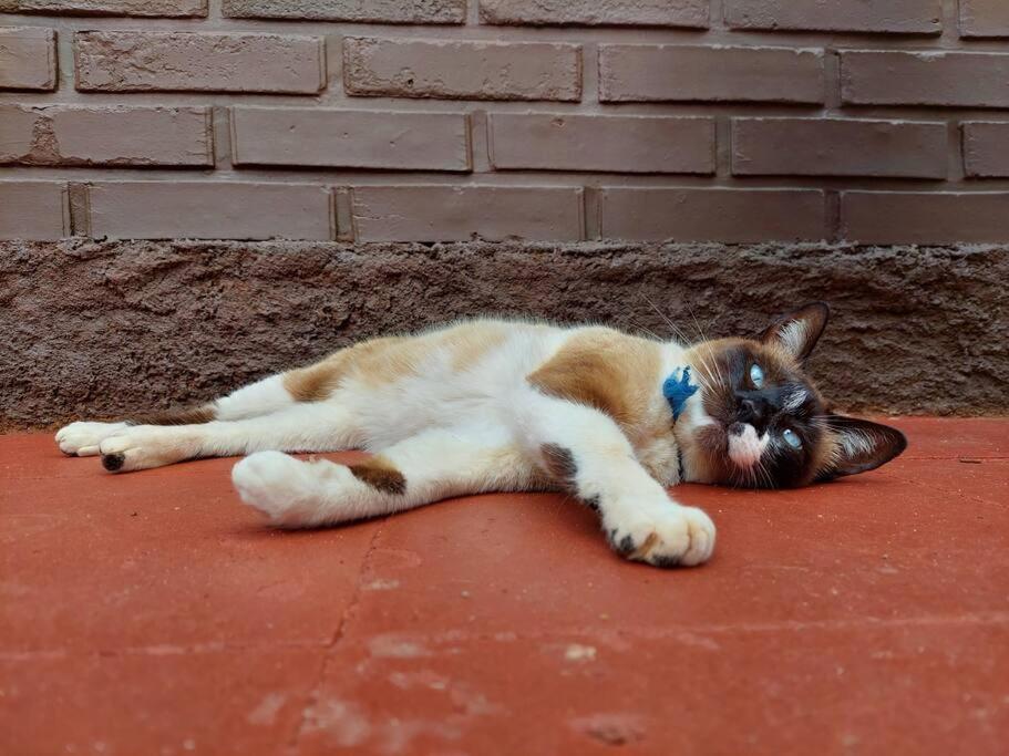 Moj Dom, casa en el centro de Oberá