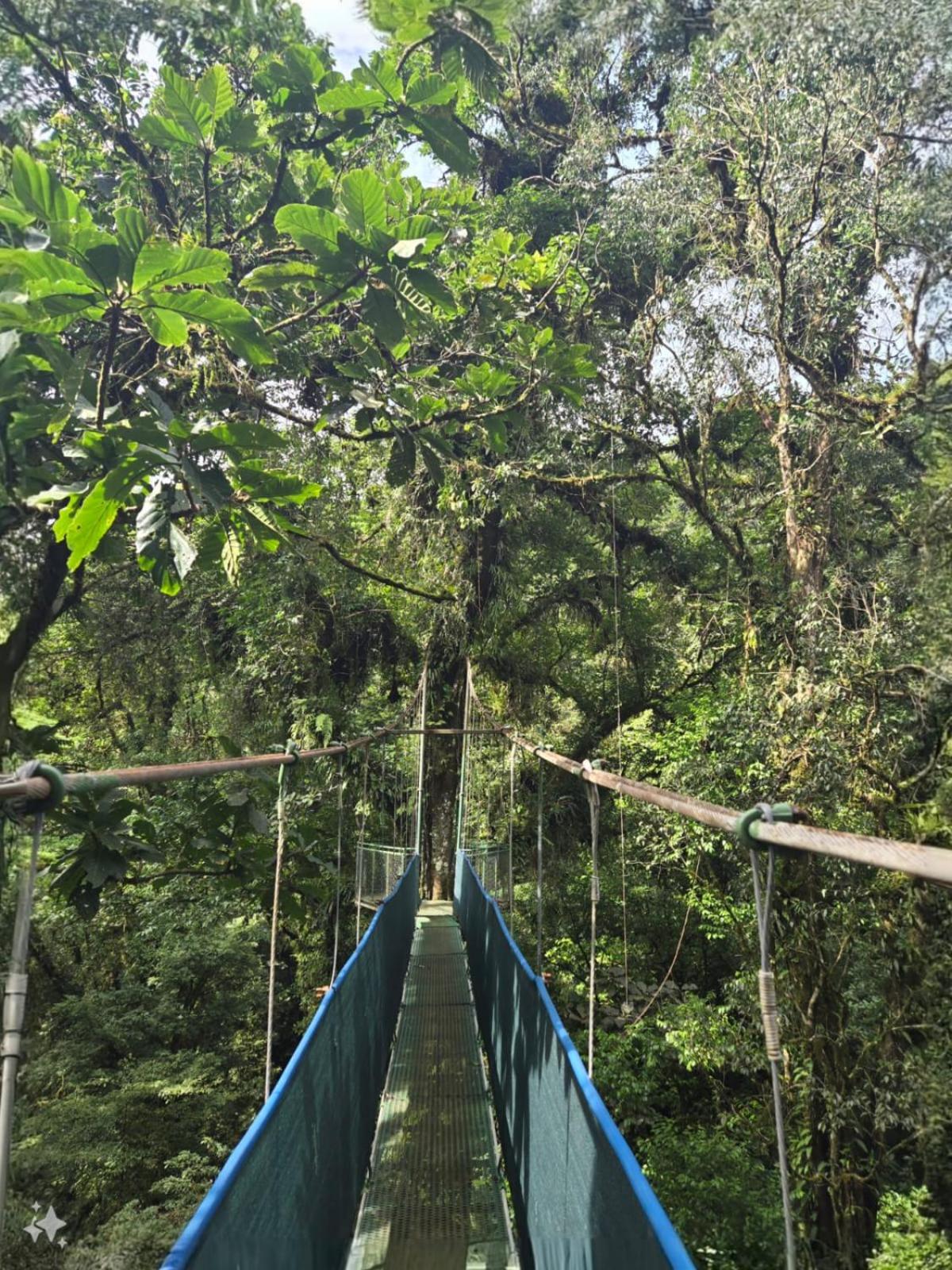 Hotel y Puentes Colgantes Heliconias Rainforest Lodge