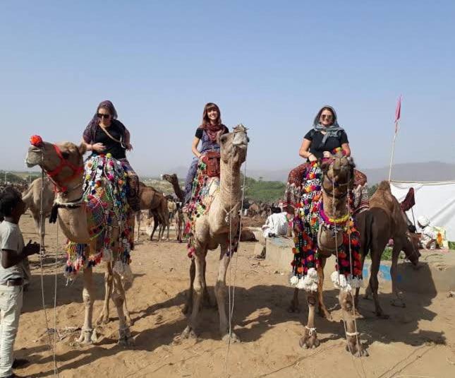 Desert Safari Camp Pushkar view 5