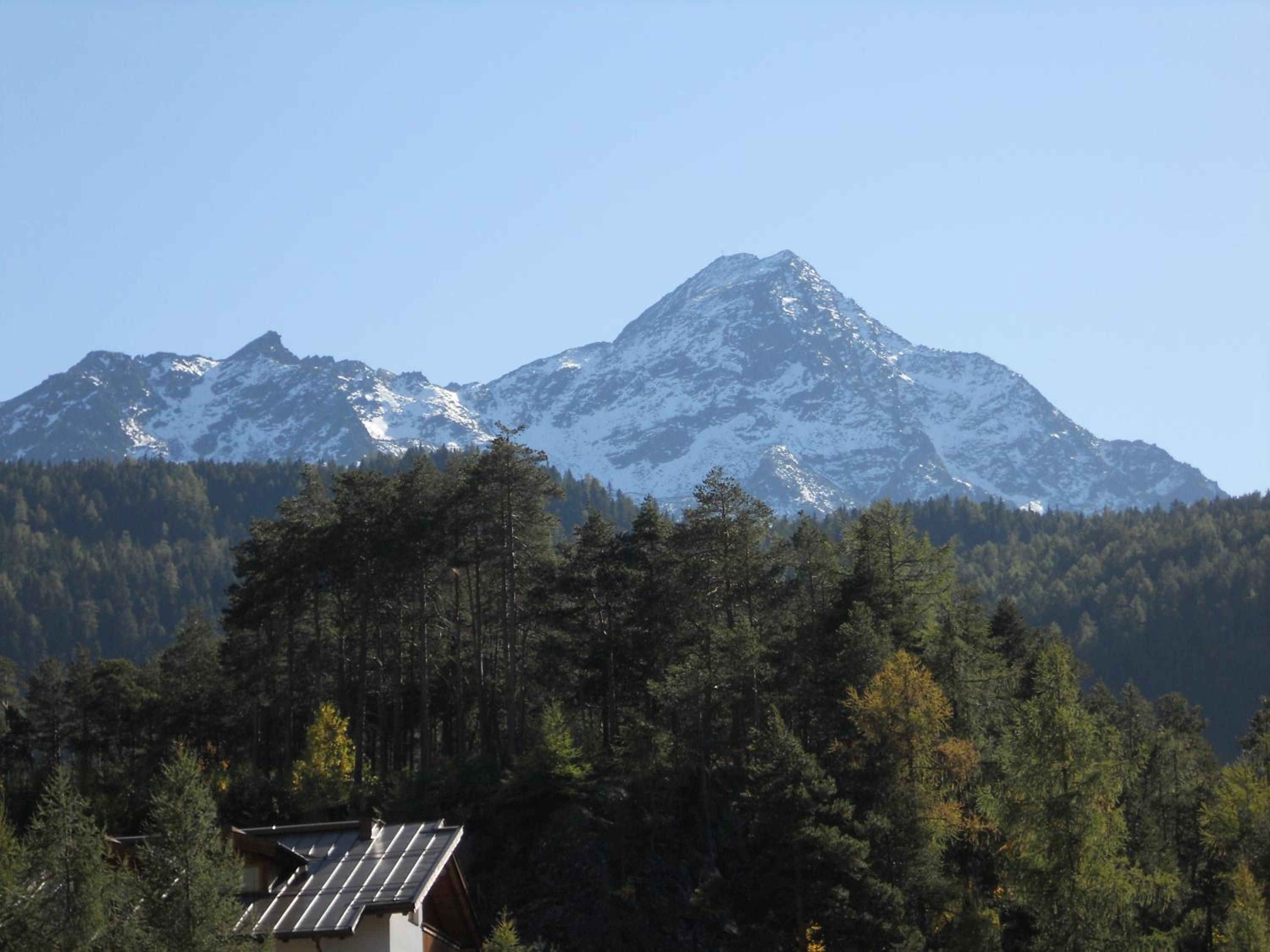 Forsthaus Falkner