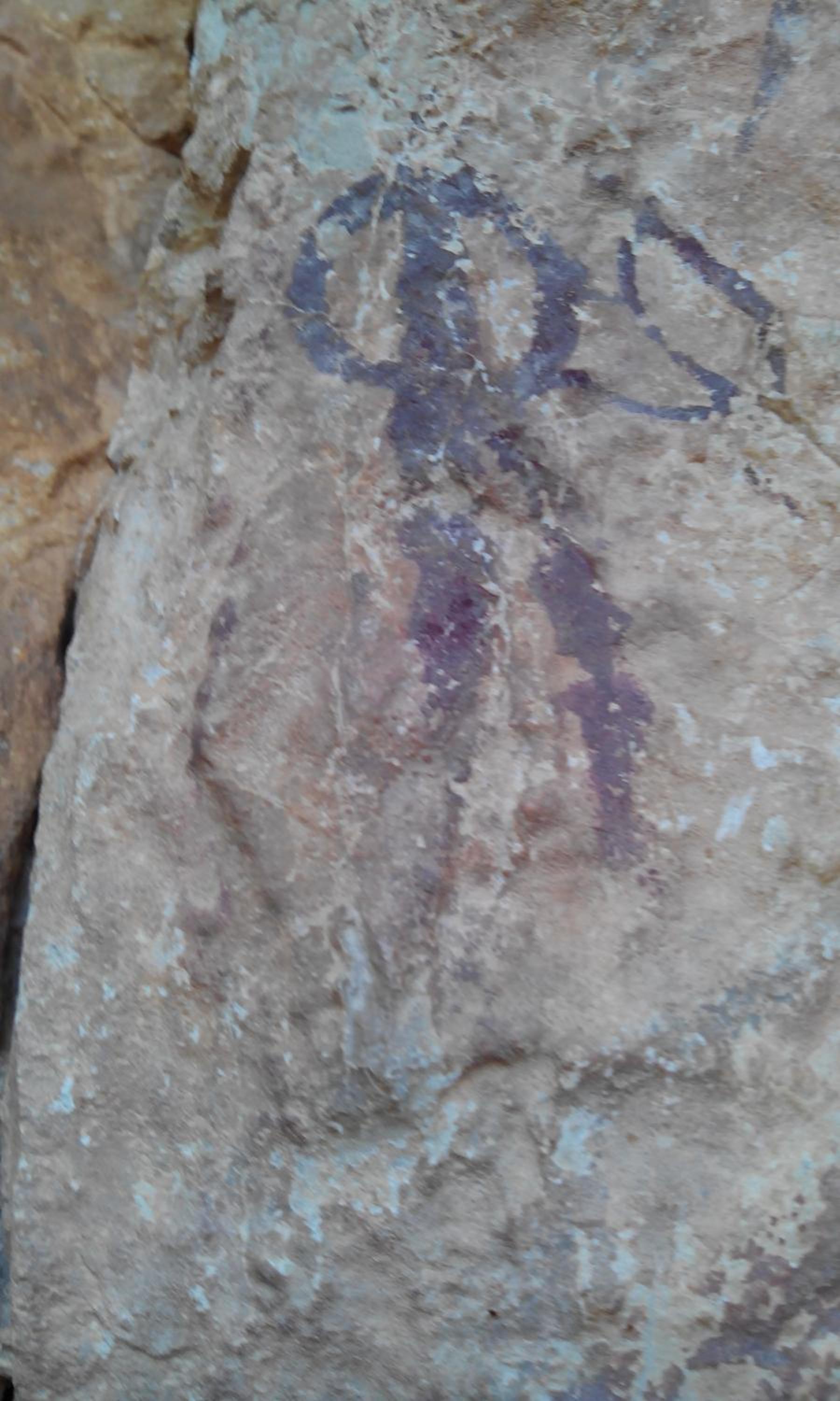 Casa-Cueva Las Colleras