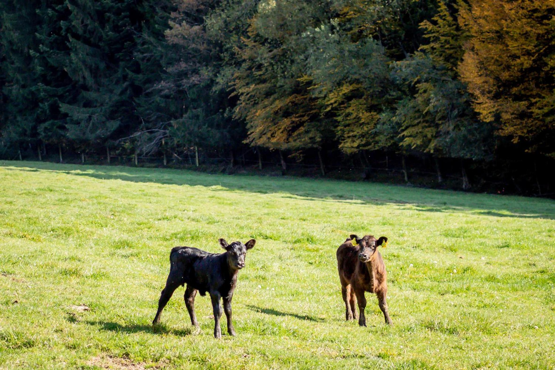 other