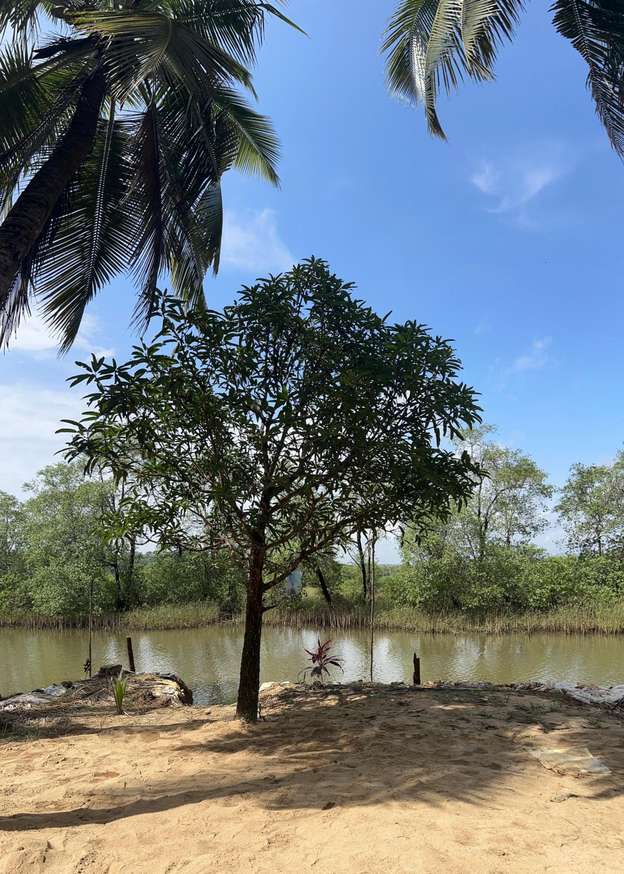 Anjanadri Island Stay