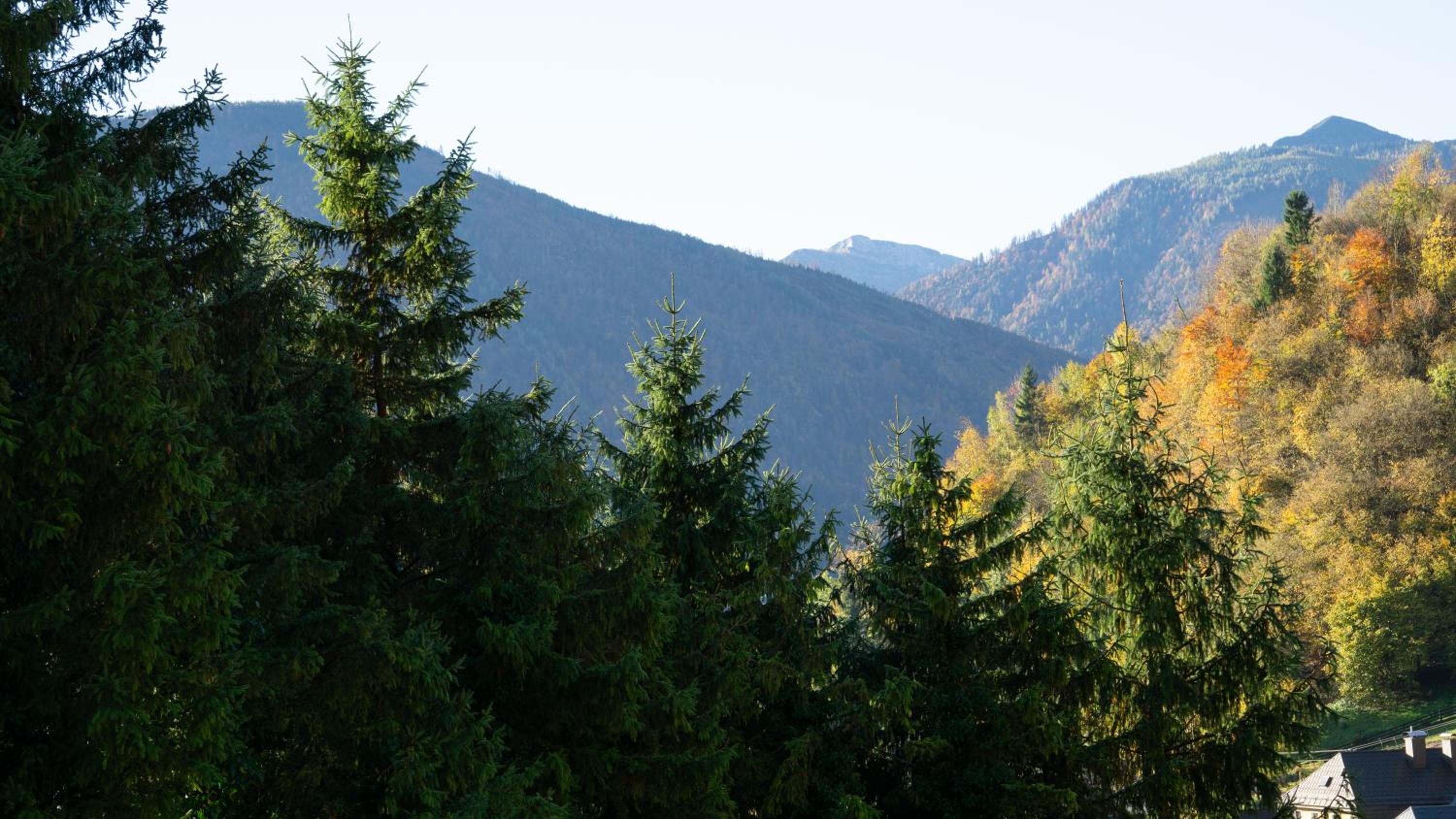 Natur & Ruhe - Ferienhaus Alexandra