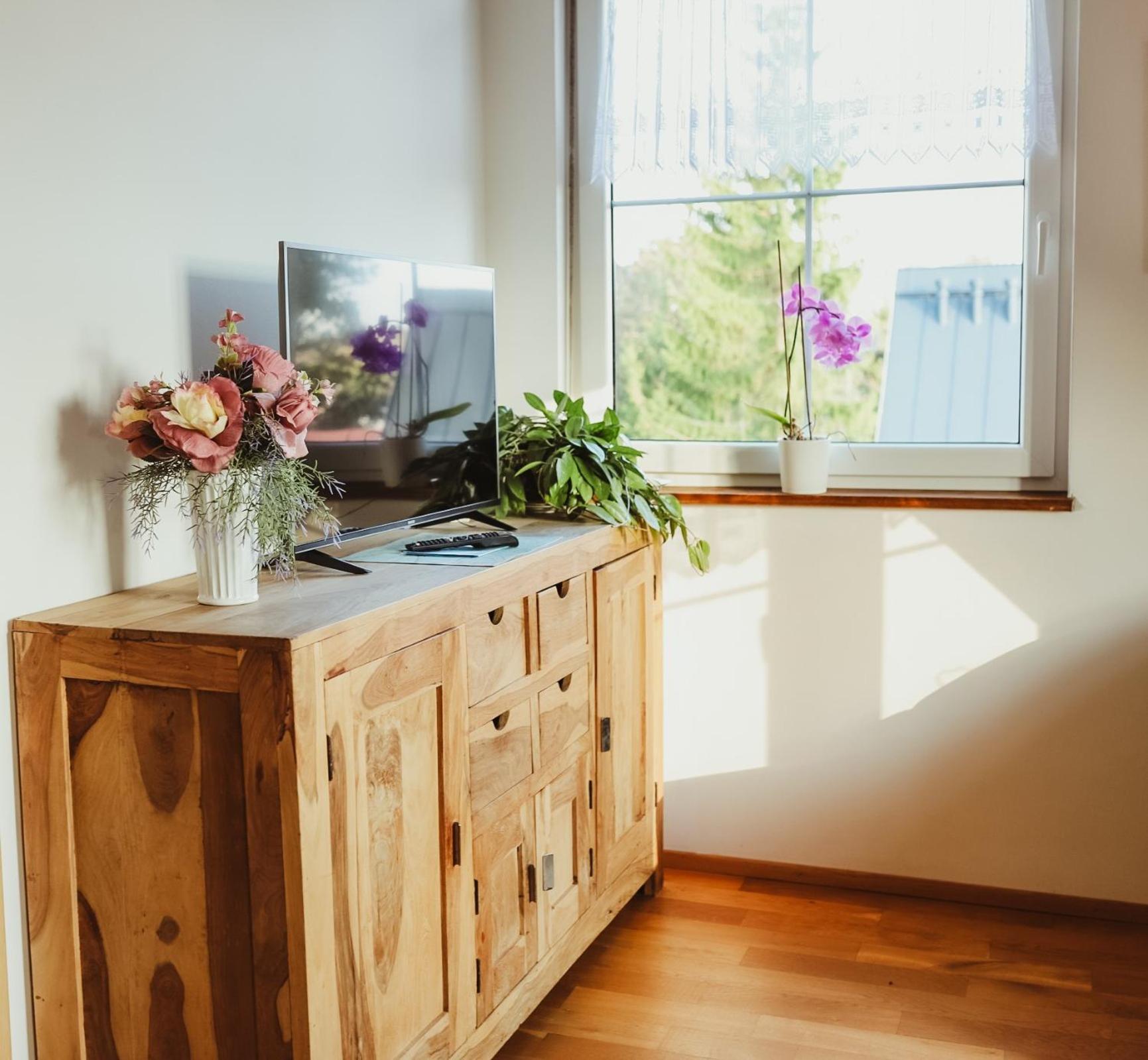 Apartmán U Tří smrků
