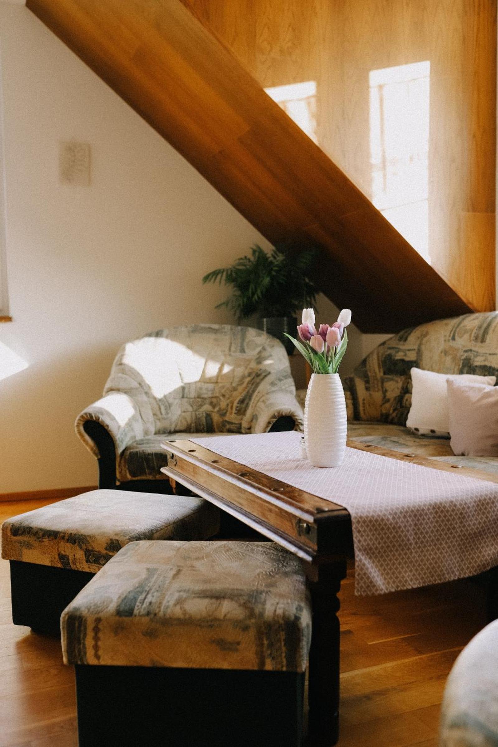 Apartmán U Tří smrků