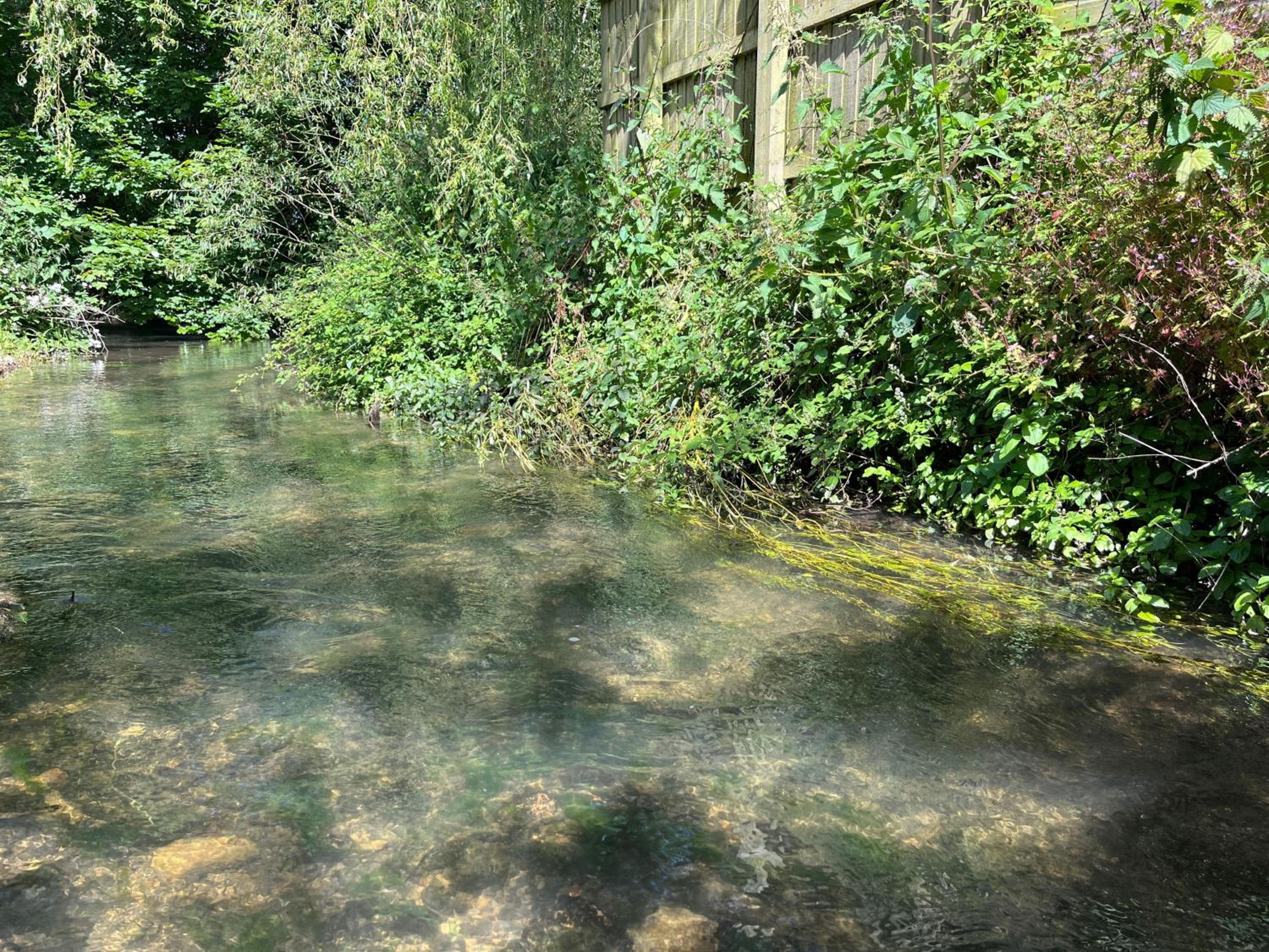 Cotswold Dream Getaways view 2