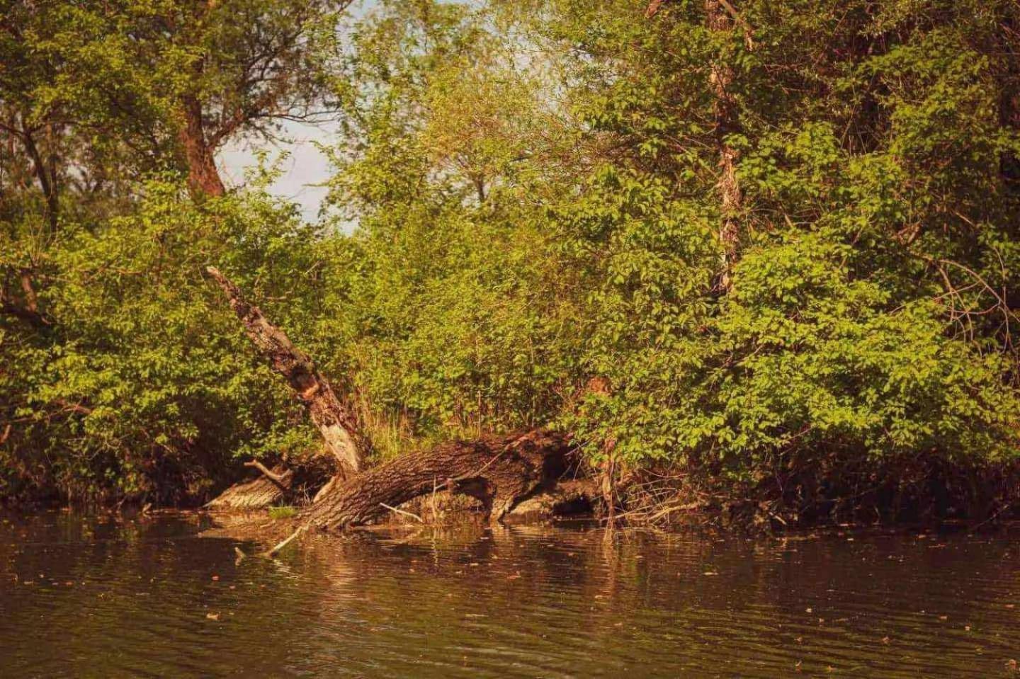 Monoštorska Bajka