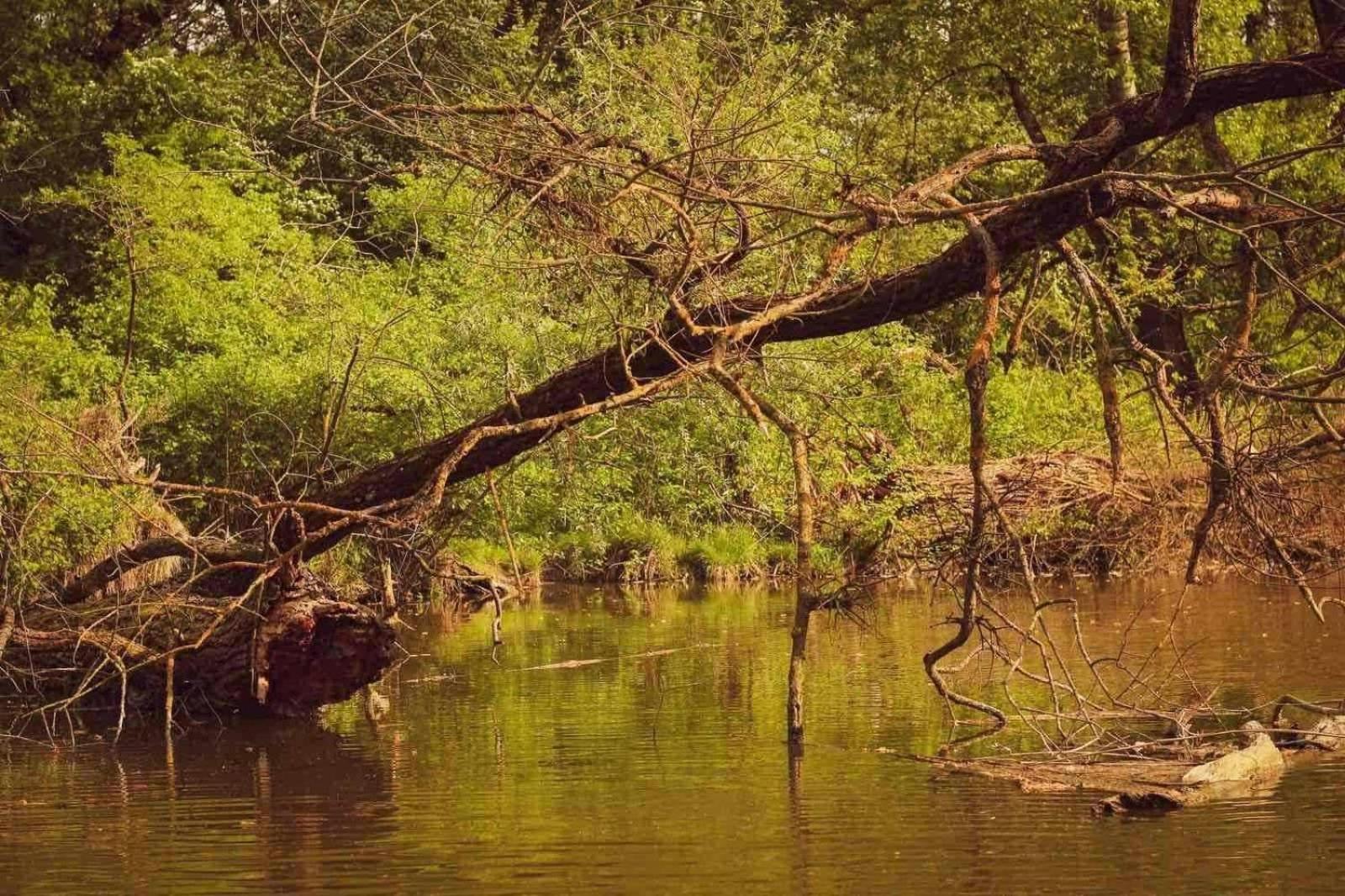 Monoštorska Bajka