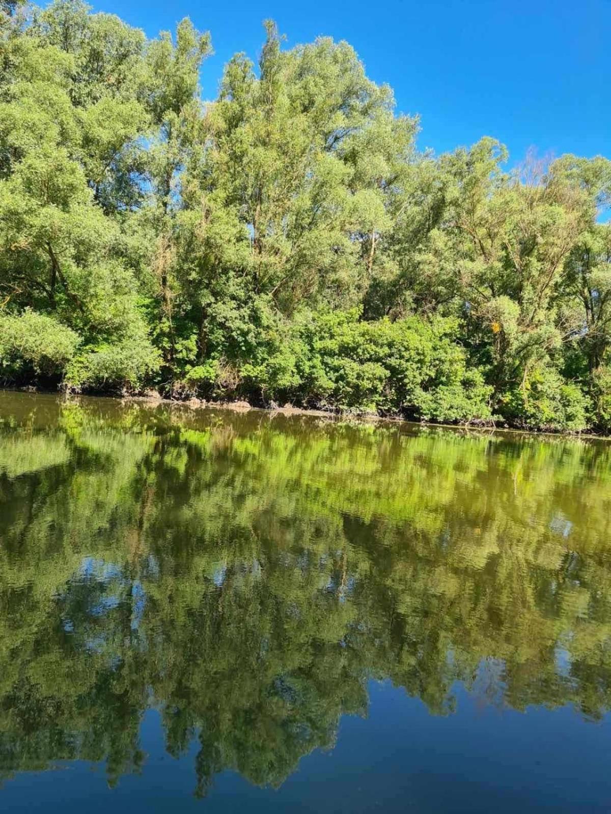 Monoštorska Bajka