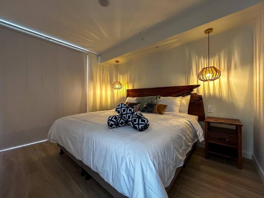 Ocean Front, Luxurious Condo in Downtown Jaco!