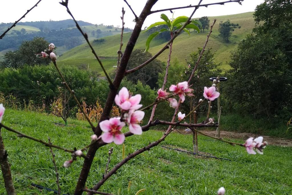 Casa Rural no Sitio
