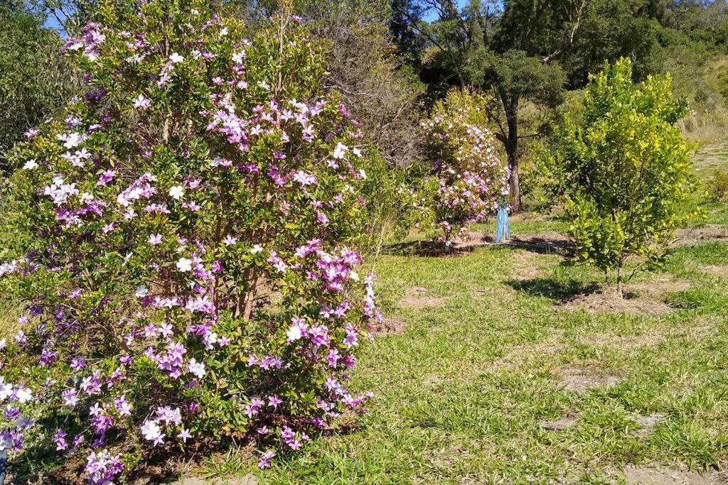 Casa Rural no Sitio