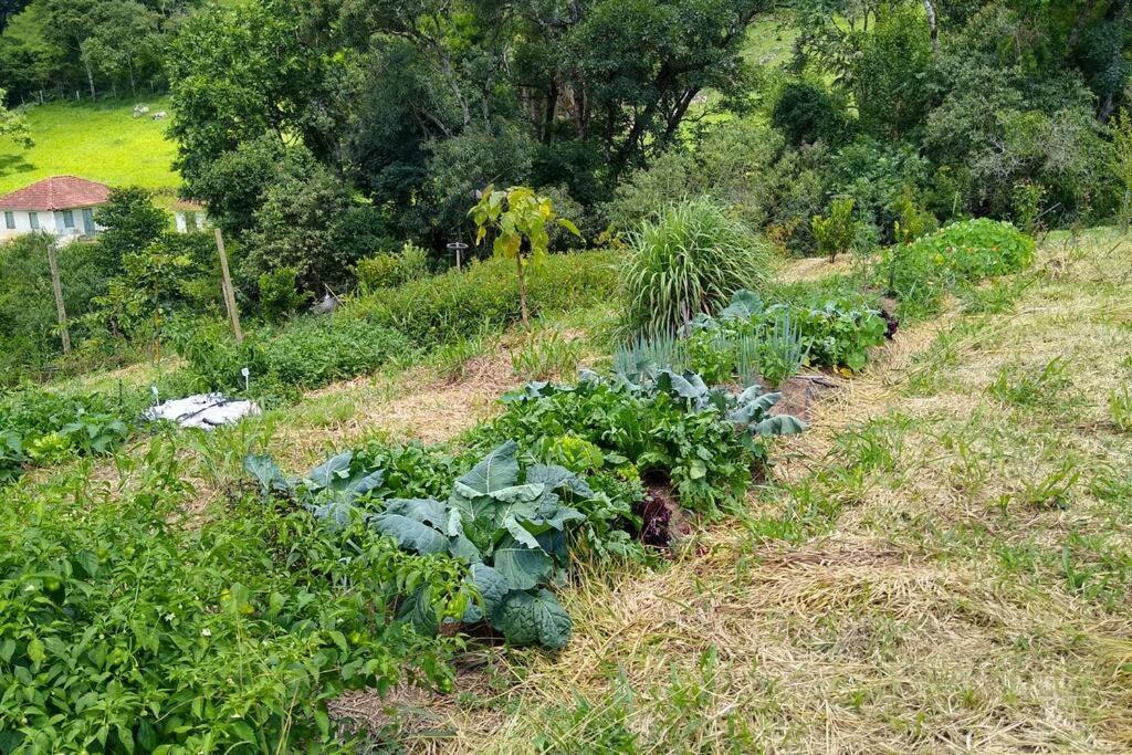Casa Rural no Sitio