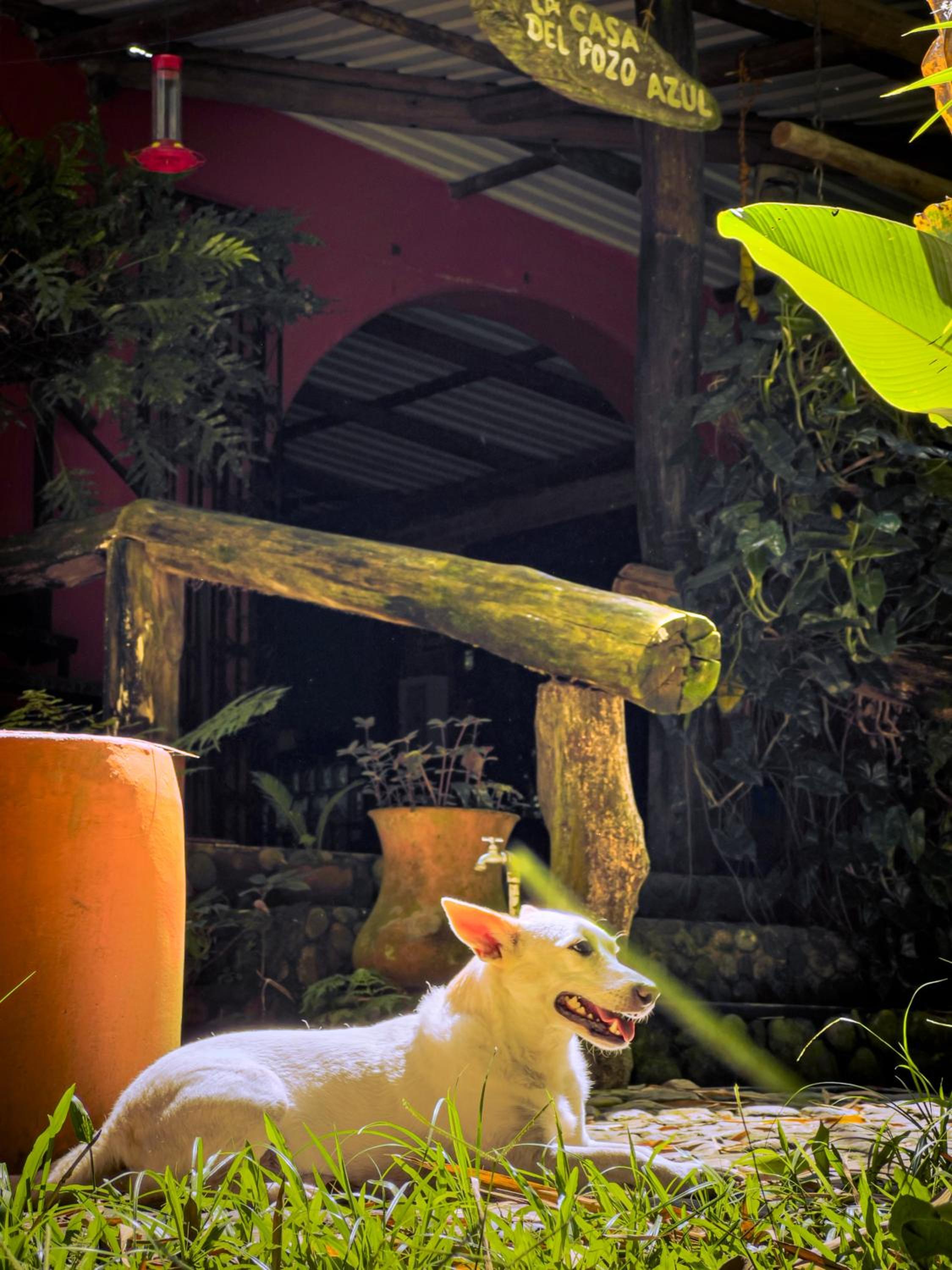 Casa del Pozo Azul - Minca