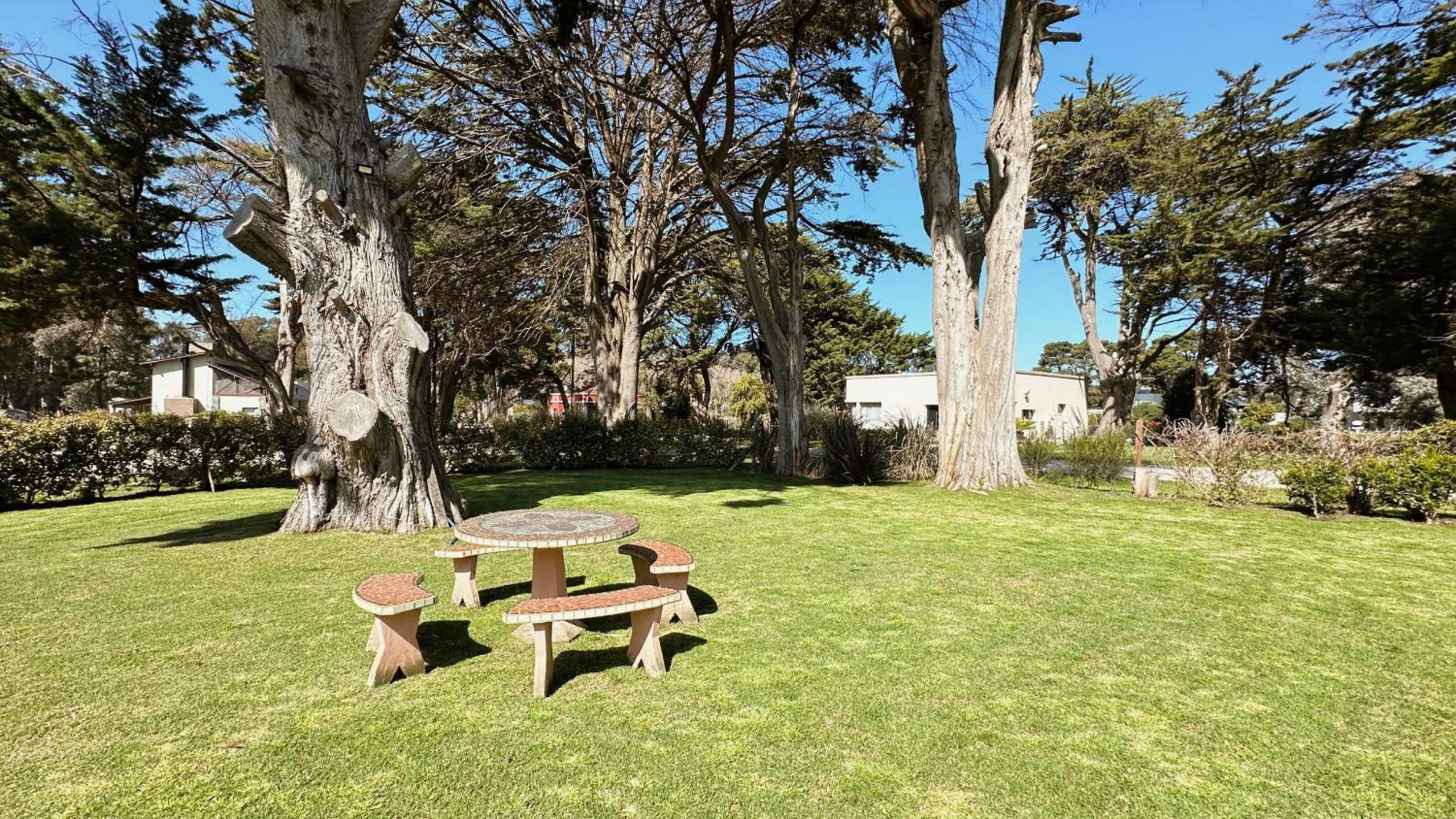 Retiro de playa y campo HOLA SUR