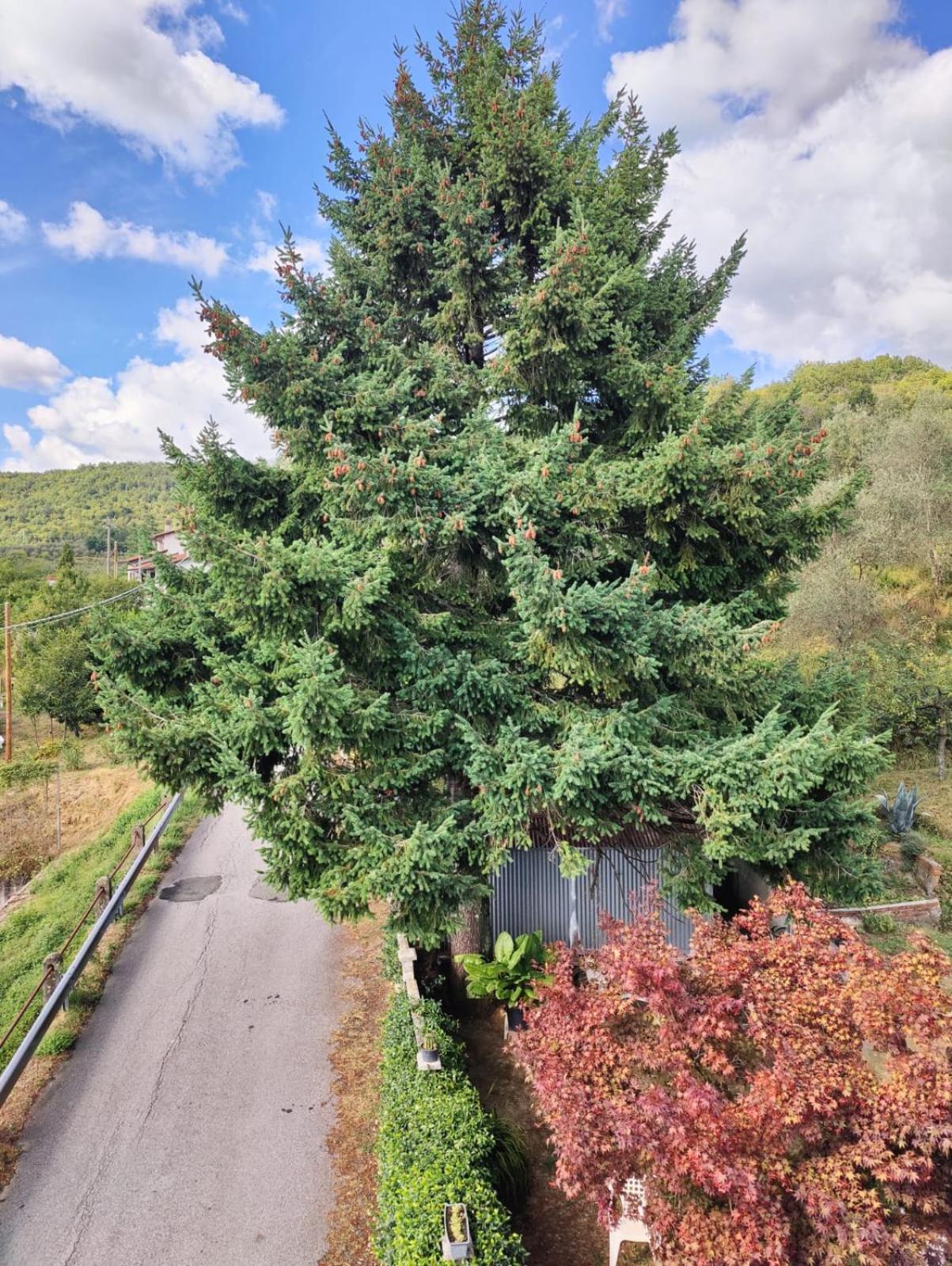 The View of Lunigiana view 3