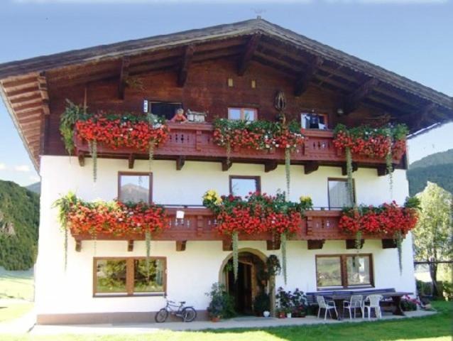 Hinterankerwald view 3