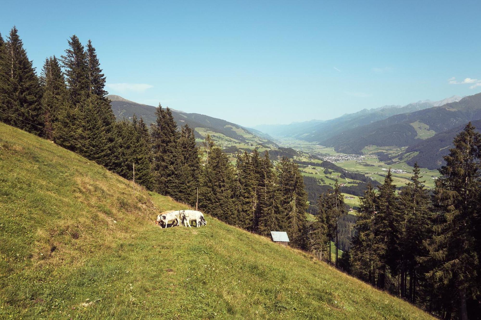 PETER'S - Bergbauernhof mit Weitblick