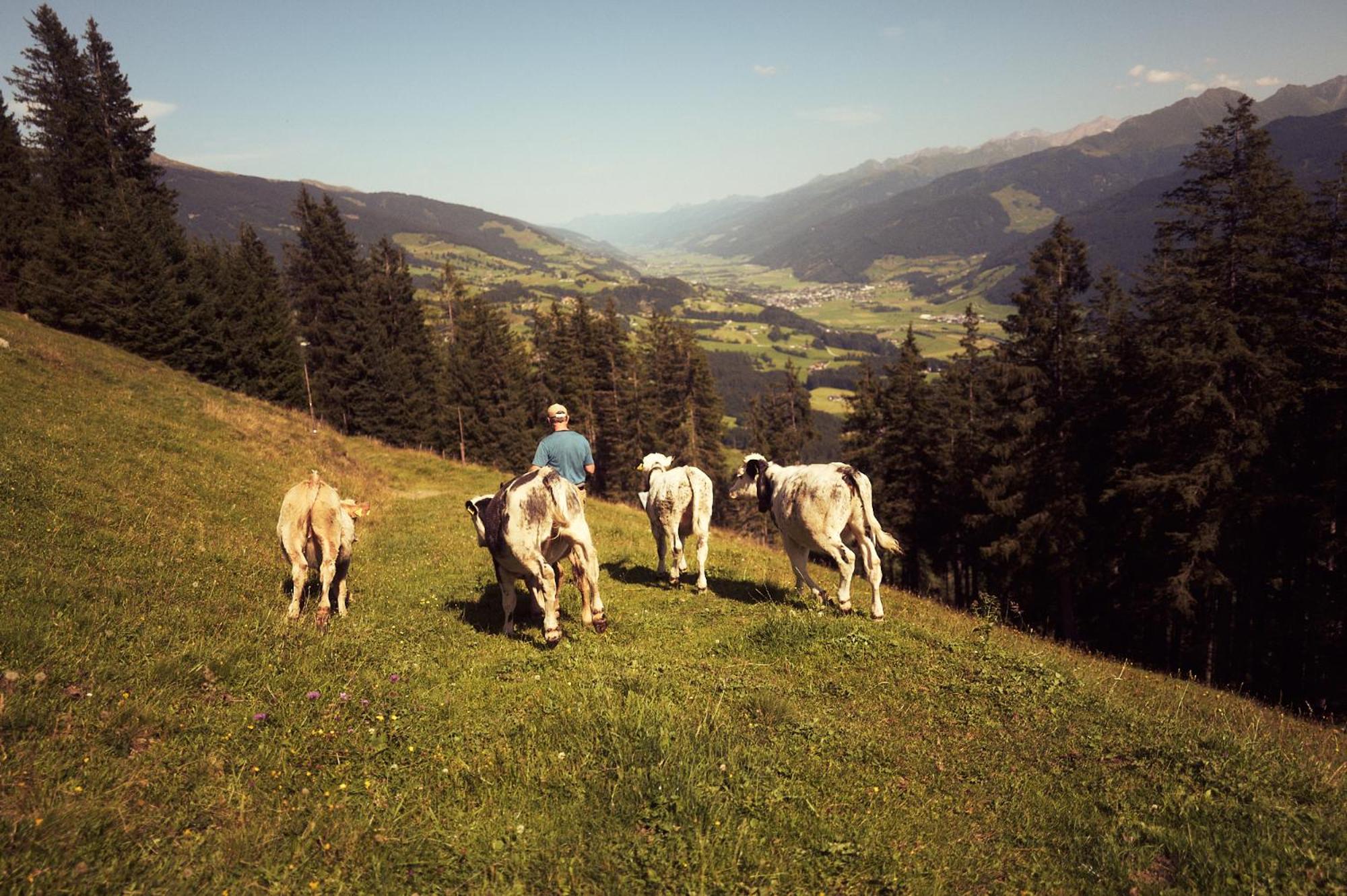 PETER'S - Bergbauernhof mit Weitblick