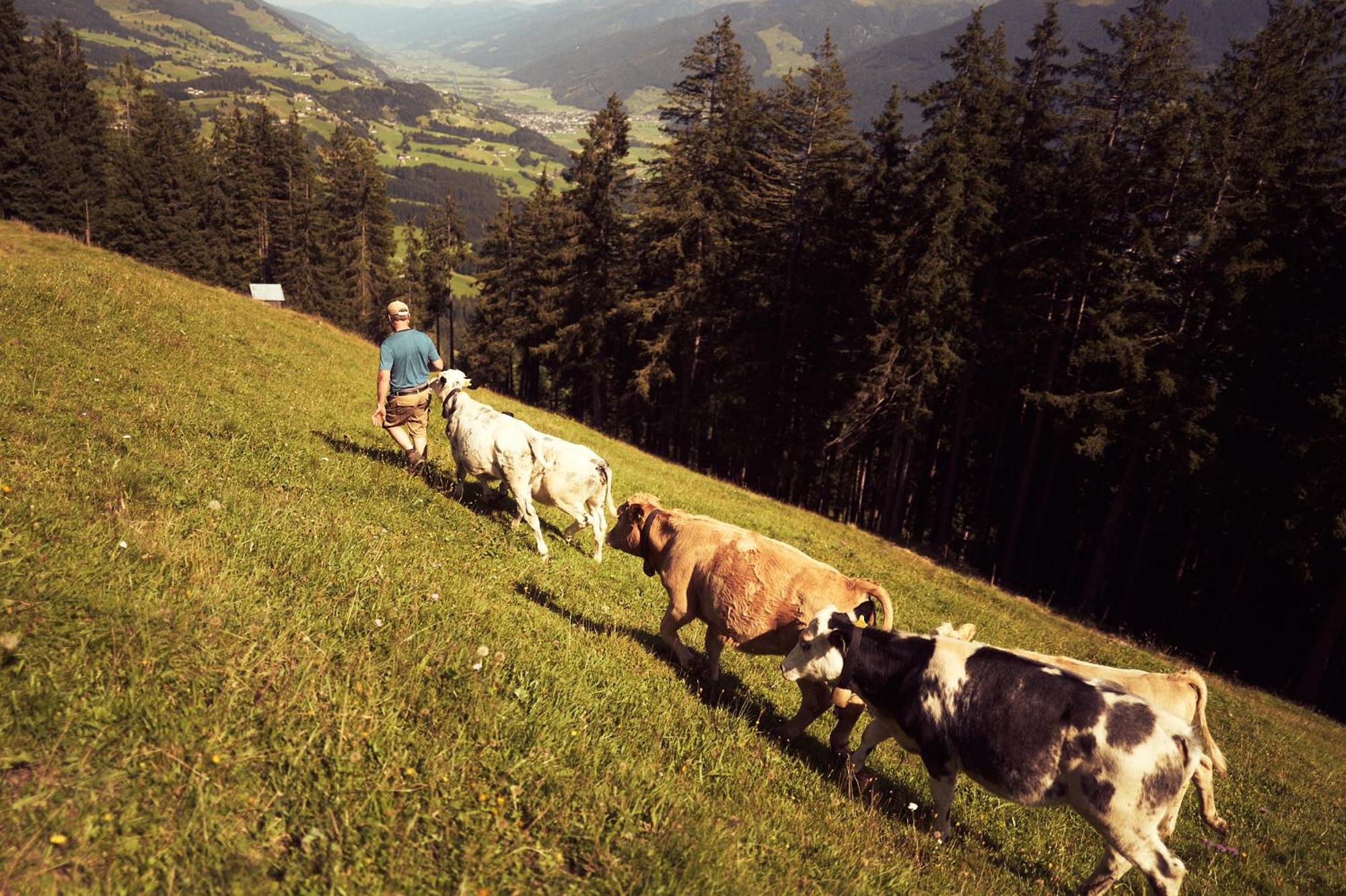 PETER'S - Bergbauernhof mit Weitblick