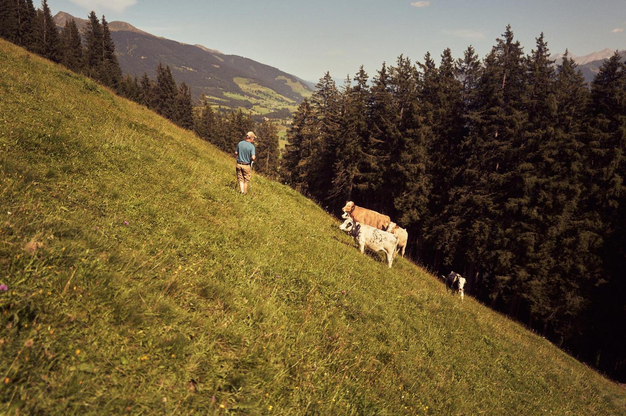 PETER'S - Bergbauernhof mit Weitblick