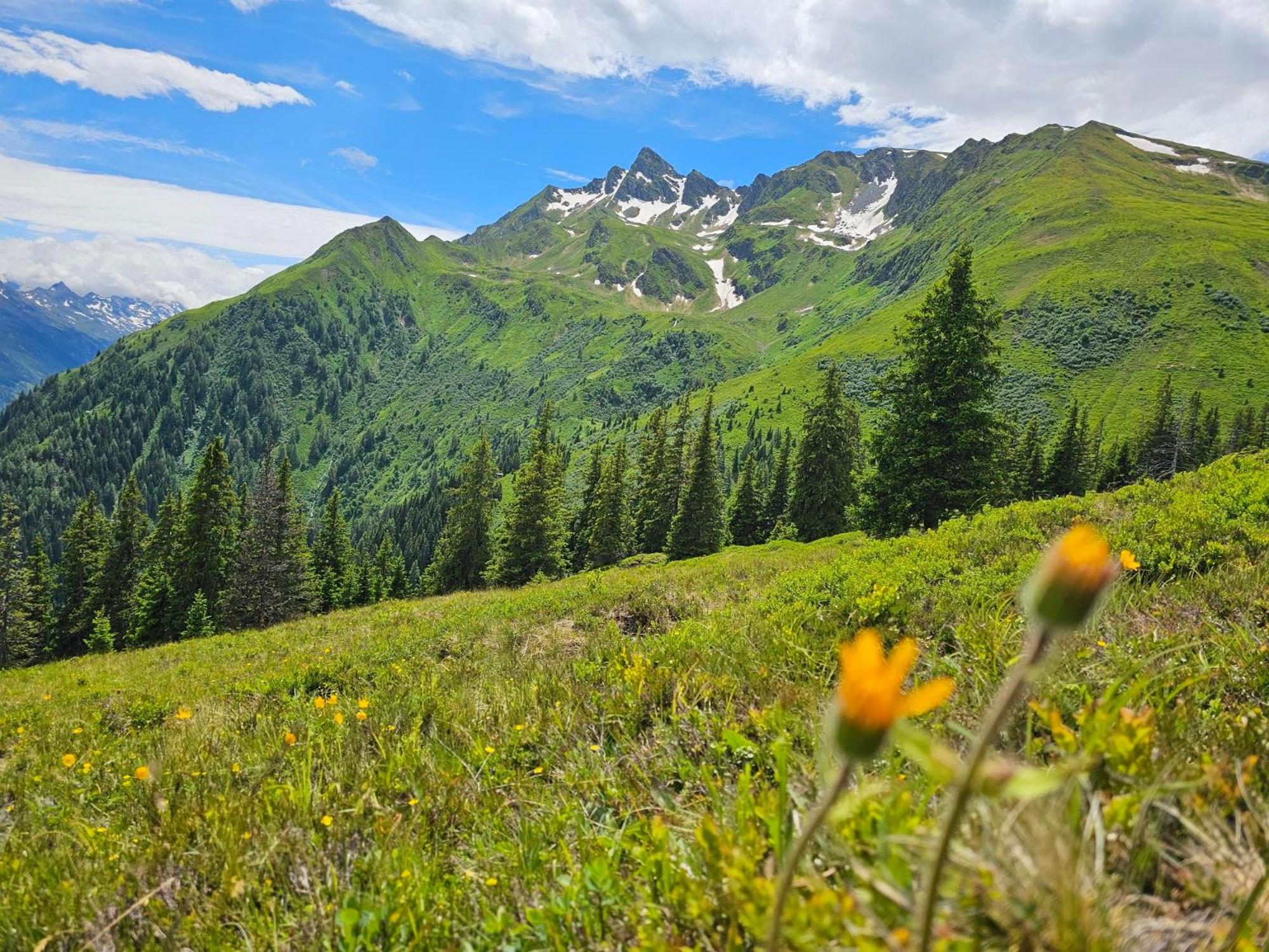 PETER'S - Bergbauernhof mit Weitblick