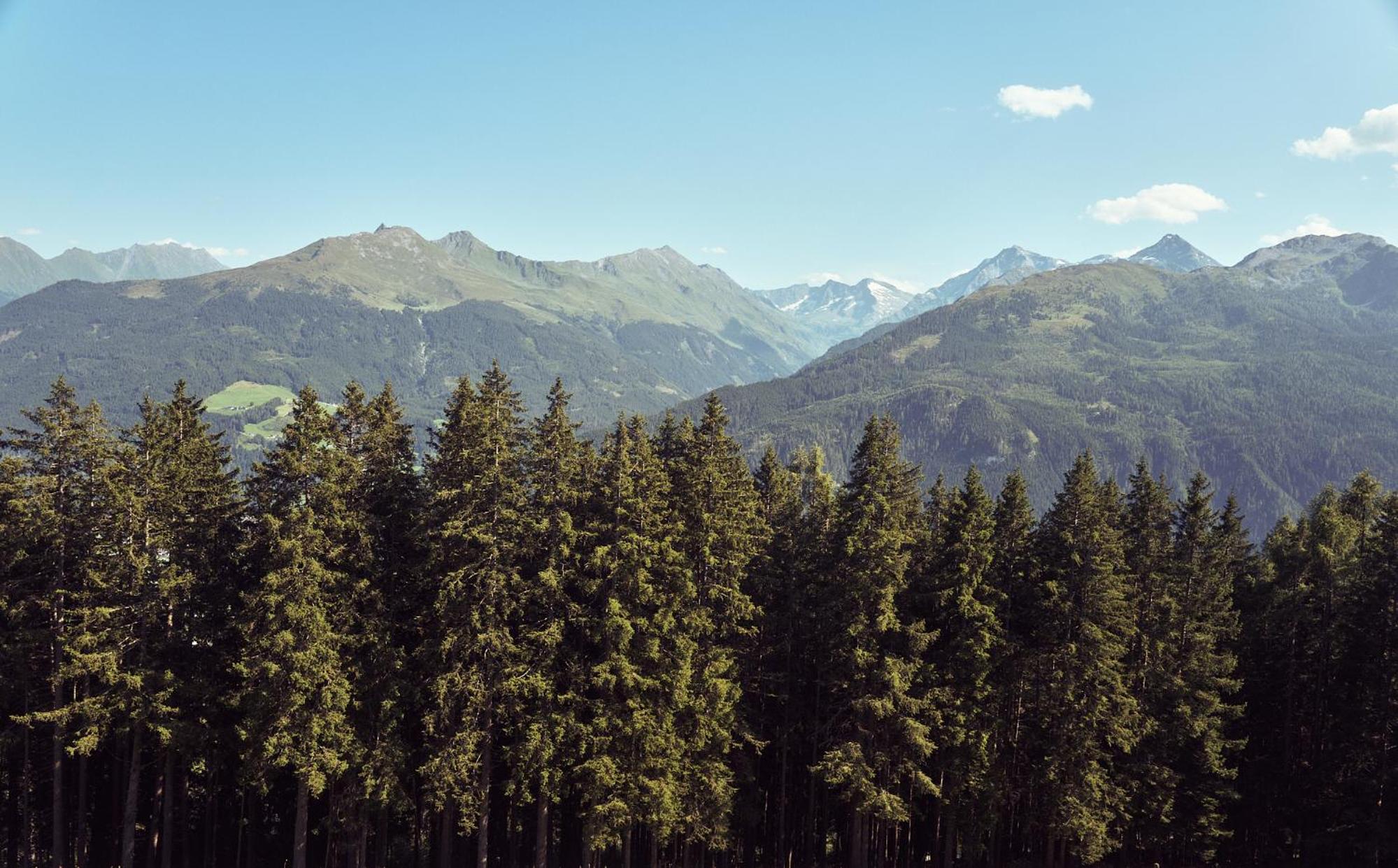 PETER'S - Bergbauernhof mit Weitblick