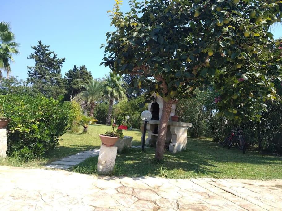 Villino Oasi del salento a due passi dal mare Salentomare TORRE DELL'ORSO view 3