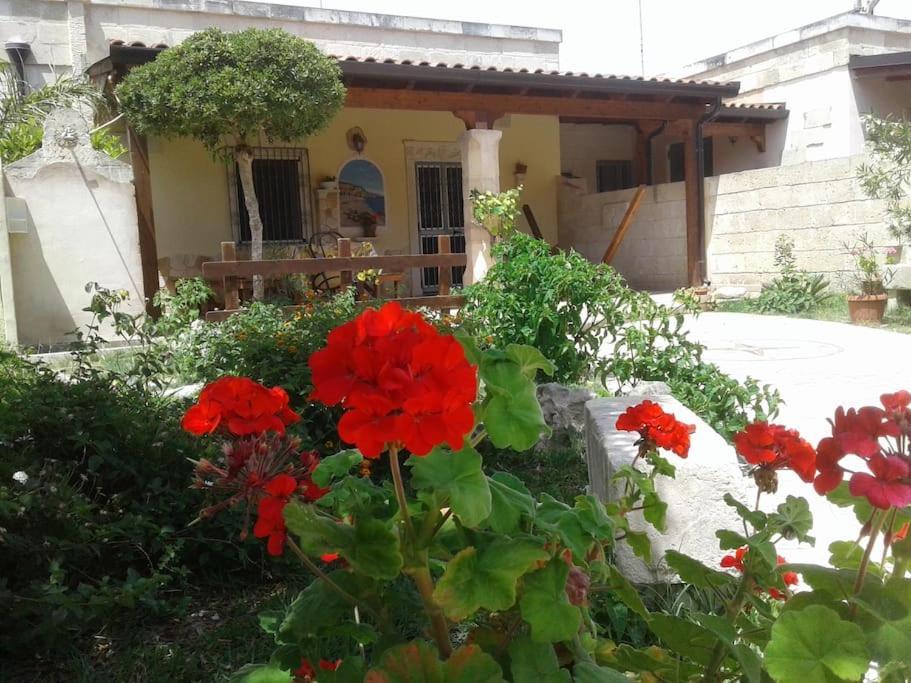 Villino Oasi del salento a due passi dal mare Salentomare TORRE DELL'ORSO view 5