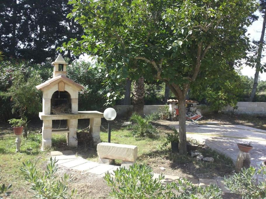 Photo 13