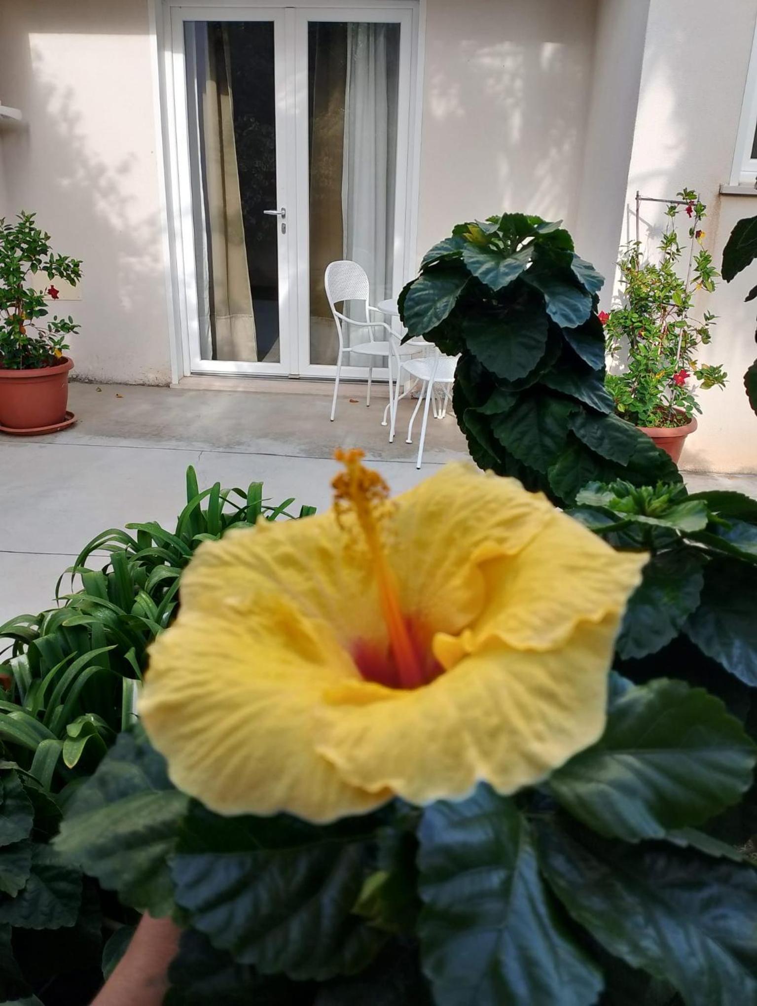 Casa Cunaci Bed and Breakfast view 3