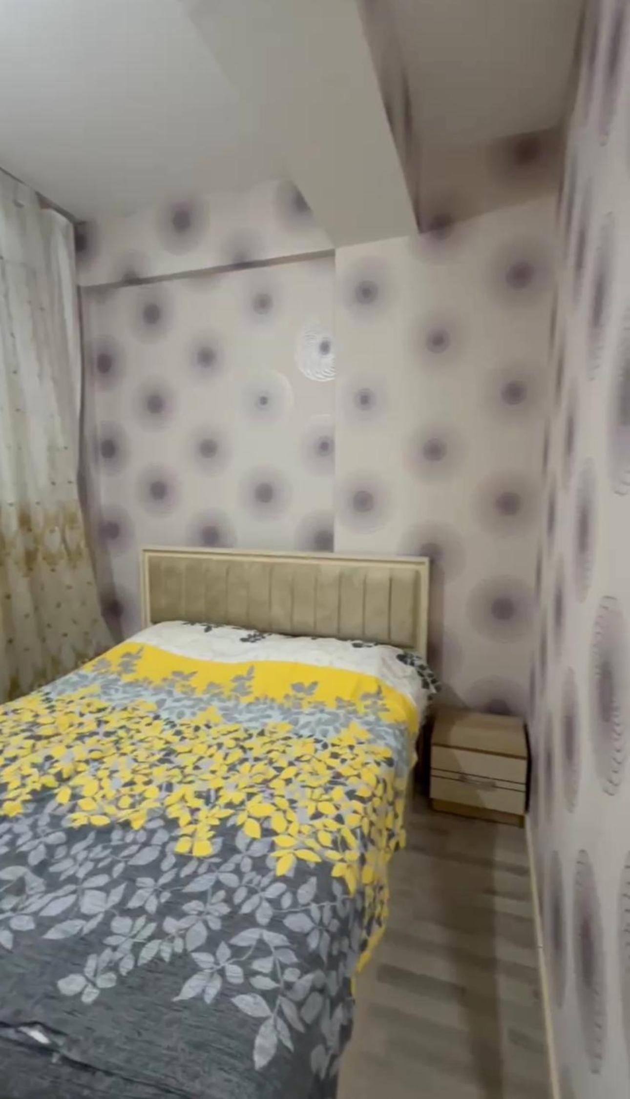 COP29 Summit Accommodation - Cozy Apartment for Rent in Baku