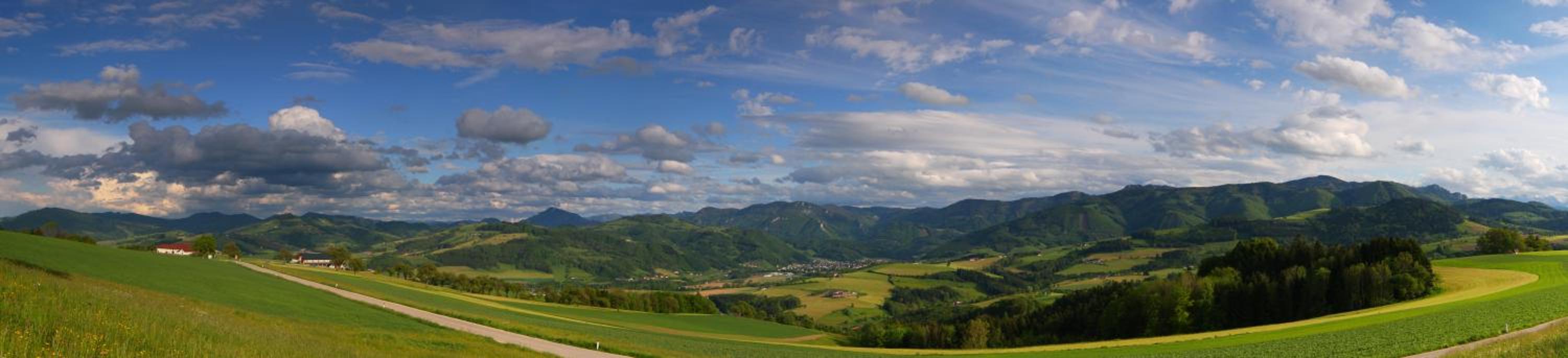 Photo 24