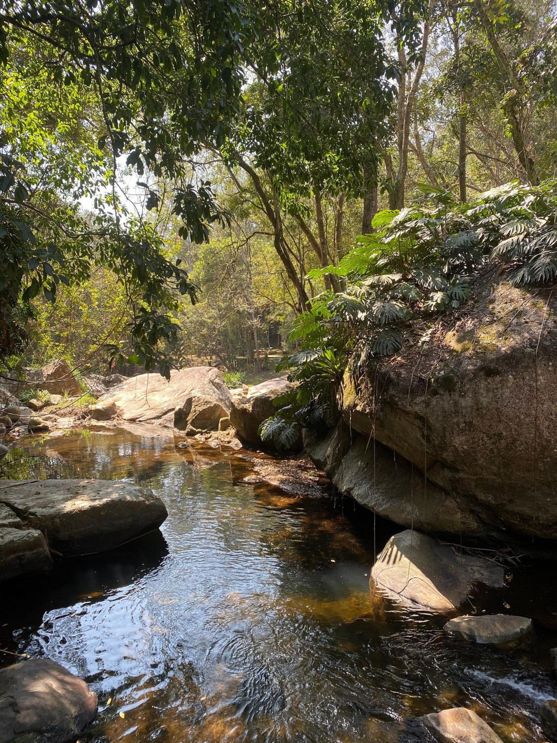 Primavera Site in Petrópolis - Vale Florido Region