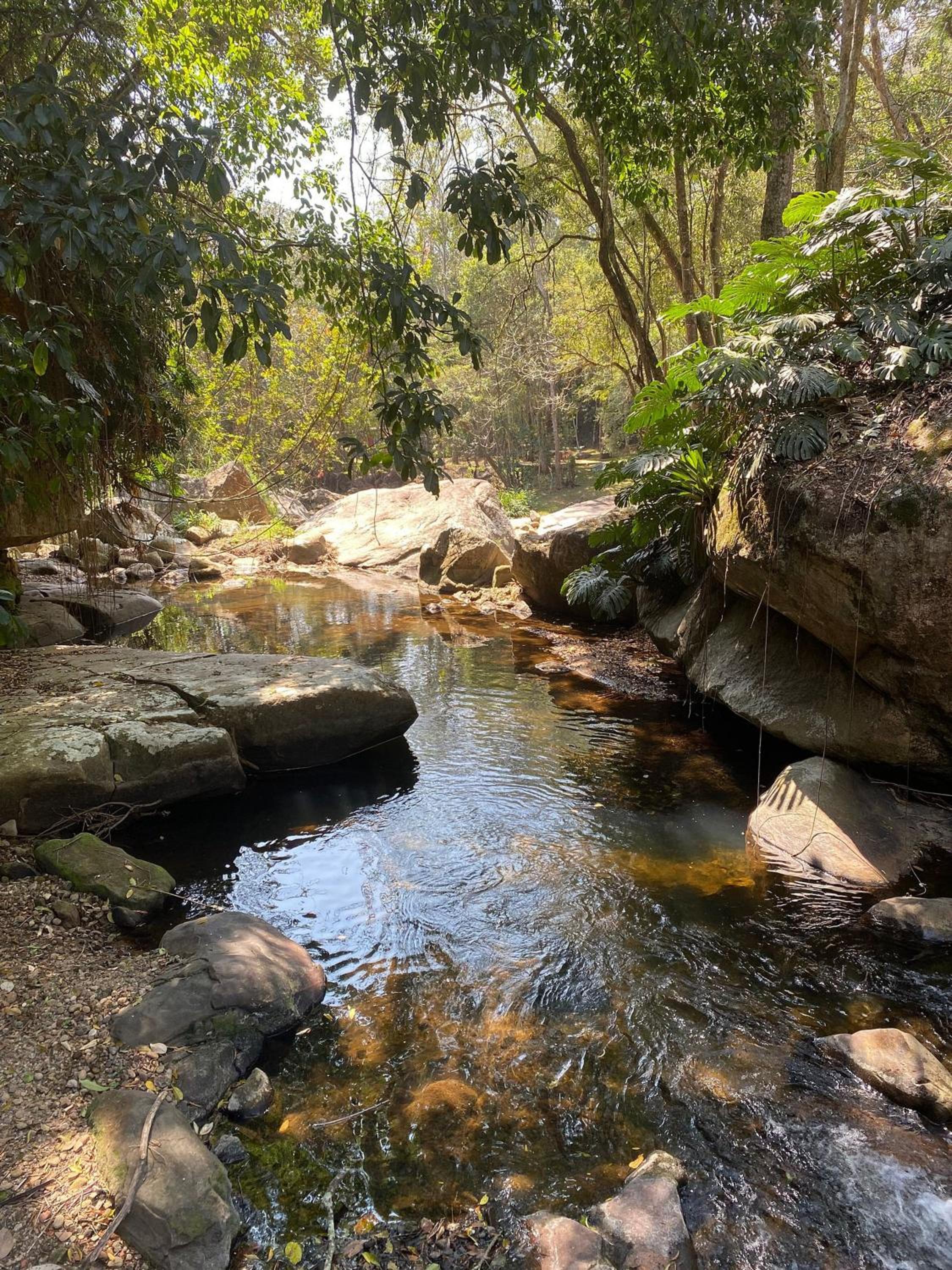 Primavera Site in Petrópolis - Vale Florido Region
